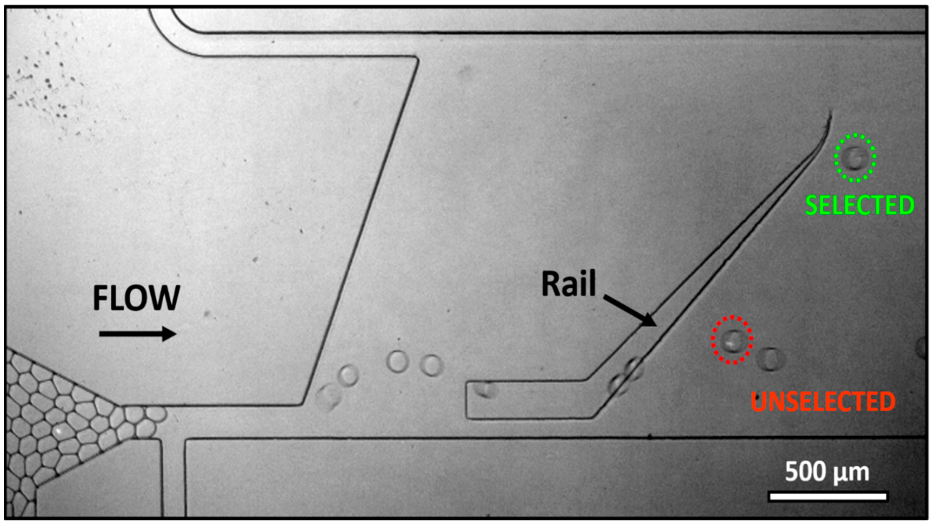 Micromachines 13 01442 g003 Micromachines 13 01442 g003