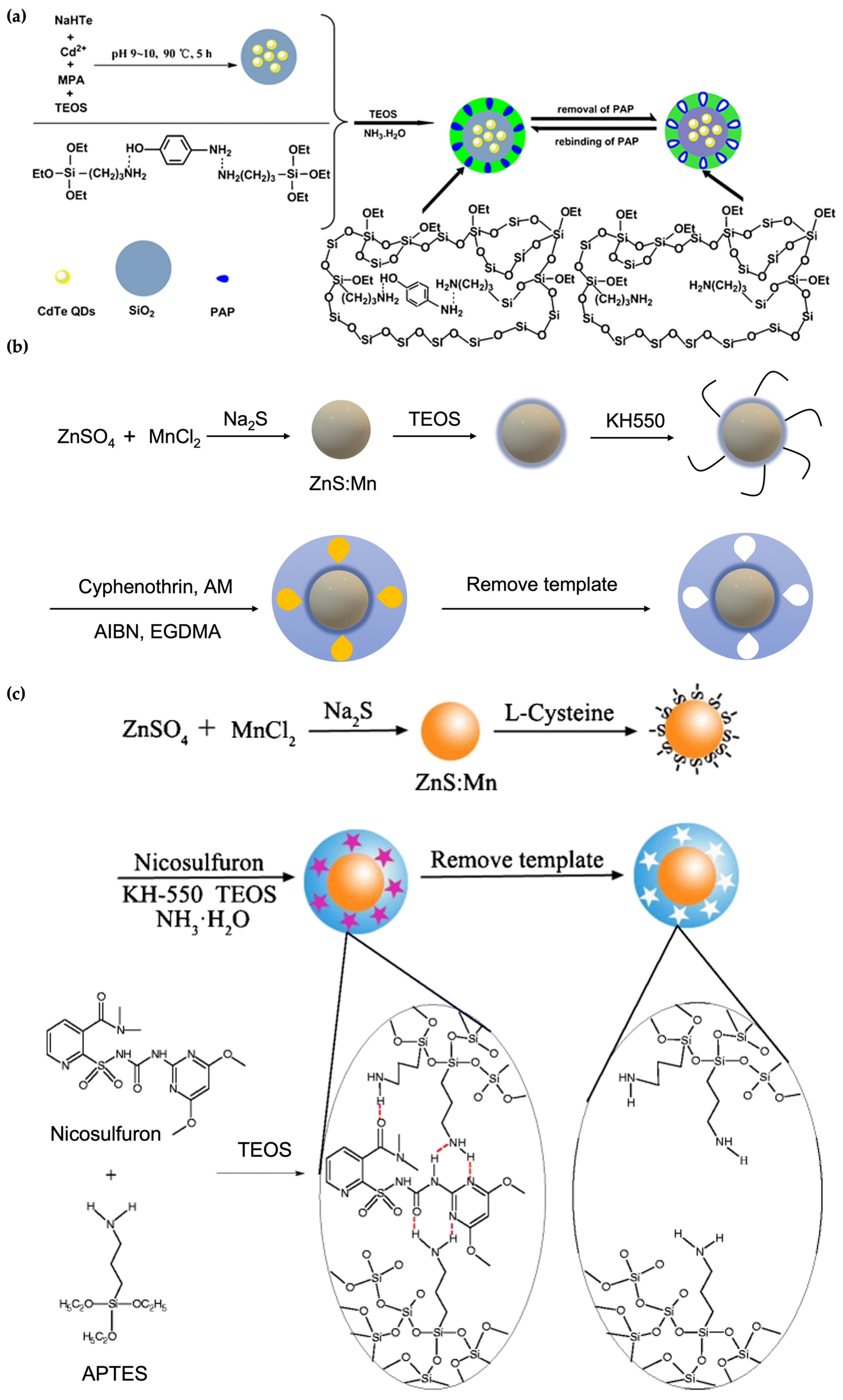 Micromachines 13 01464 g006