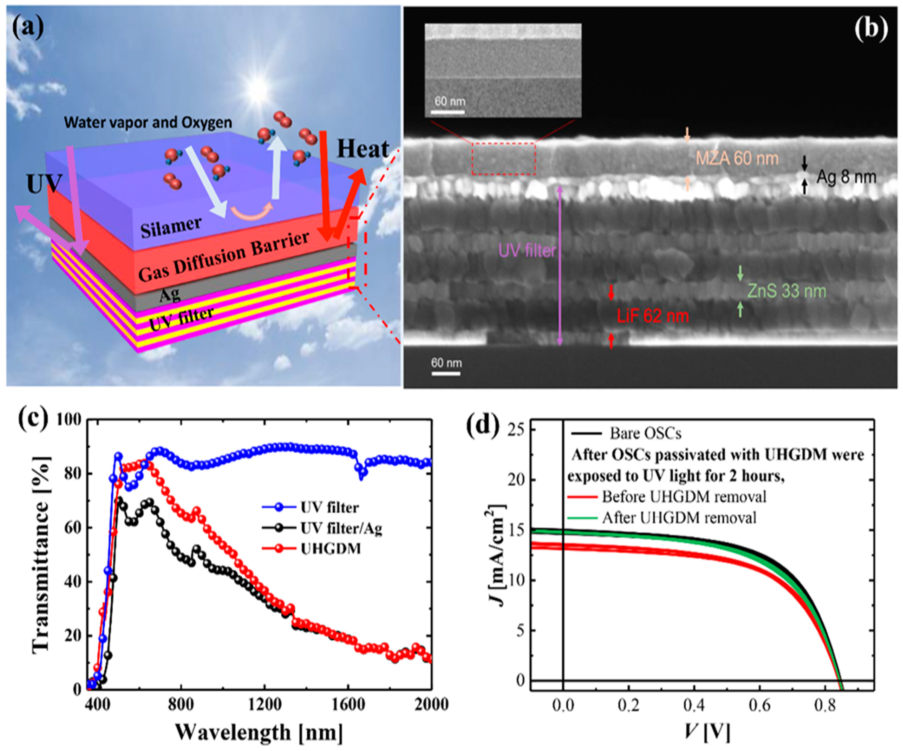 Micromachines 13 01478 g005