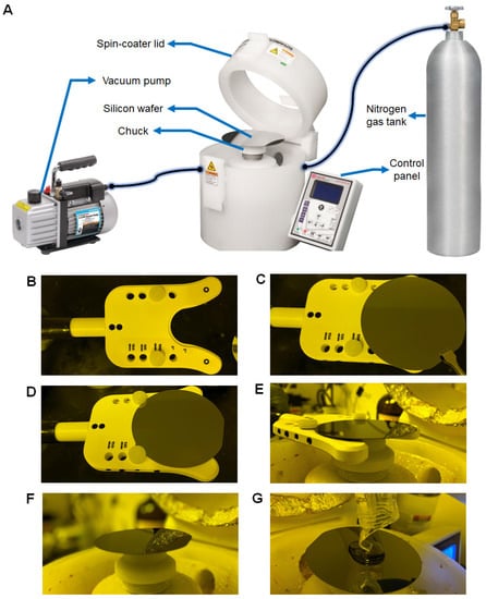 Micromachines 13 01483 g003