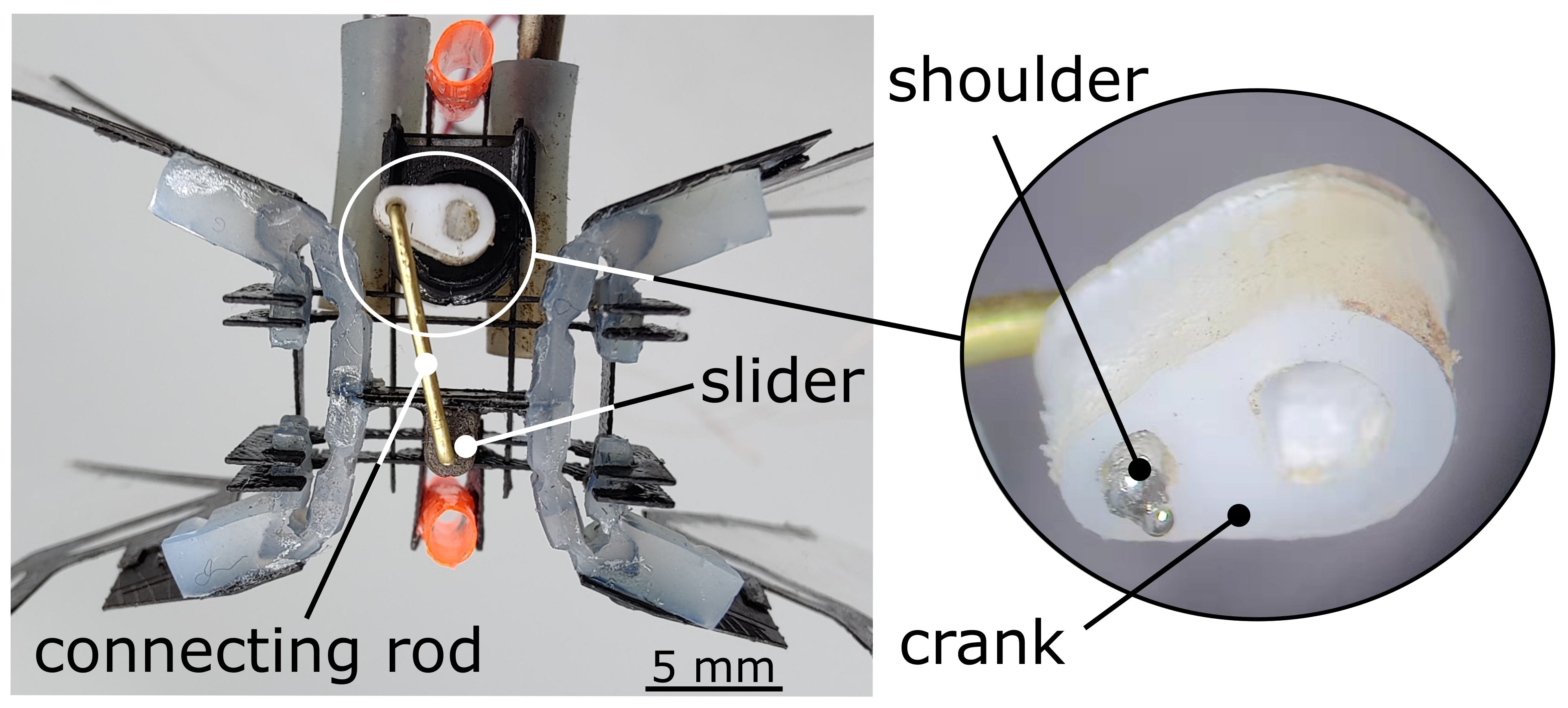 Micromachines 13 01489 g008