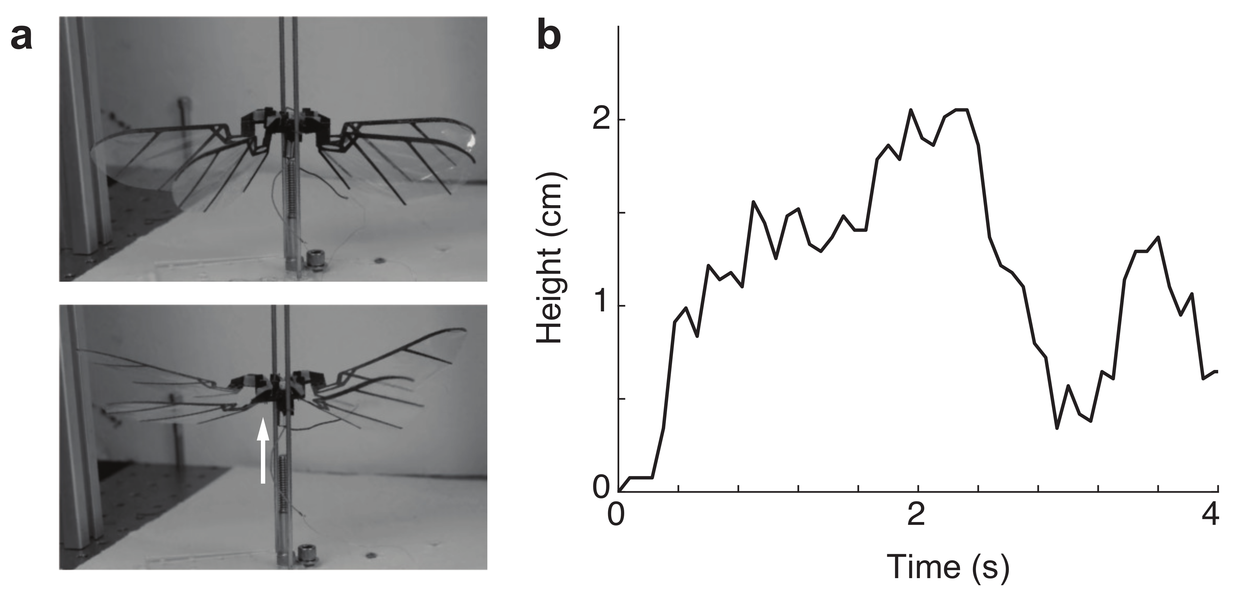 Micromachines 13 01489 g012
