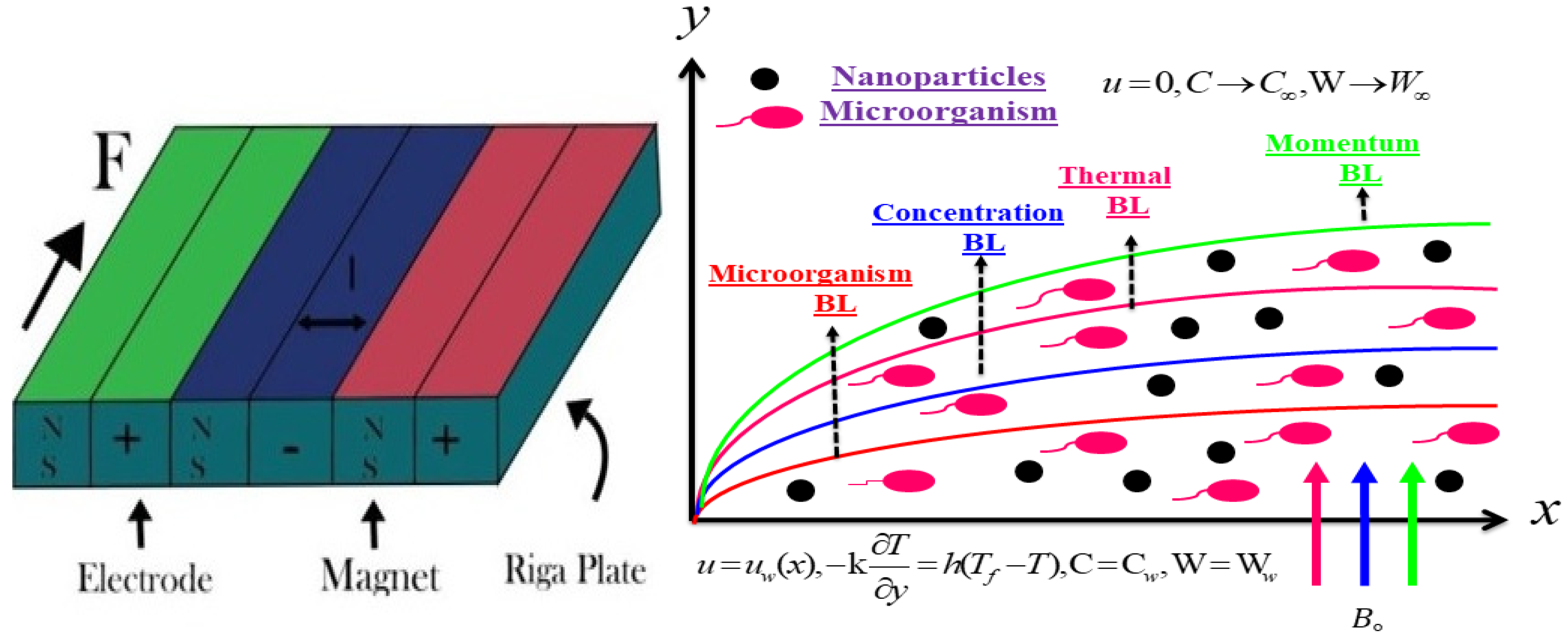 Micromachines 13 01497 g001