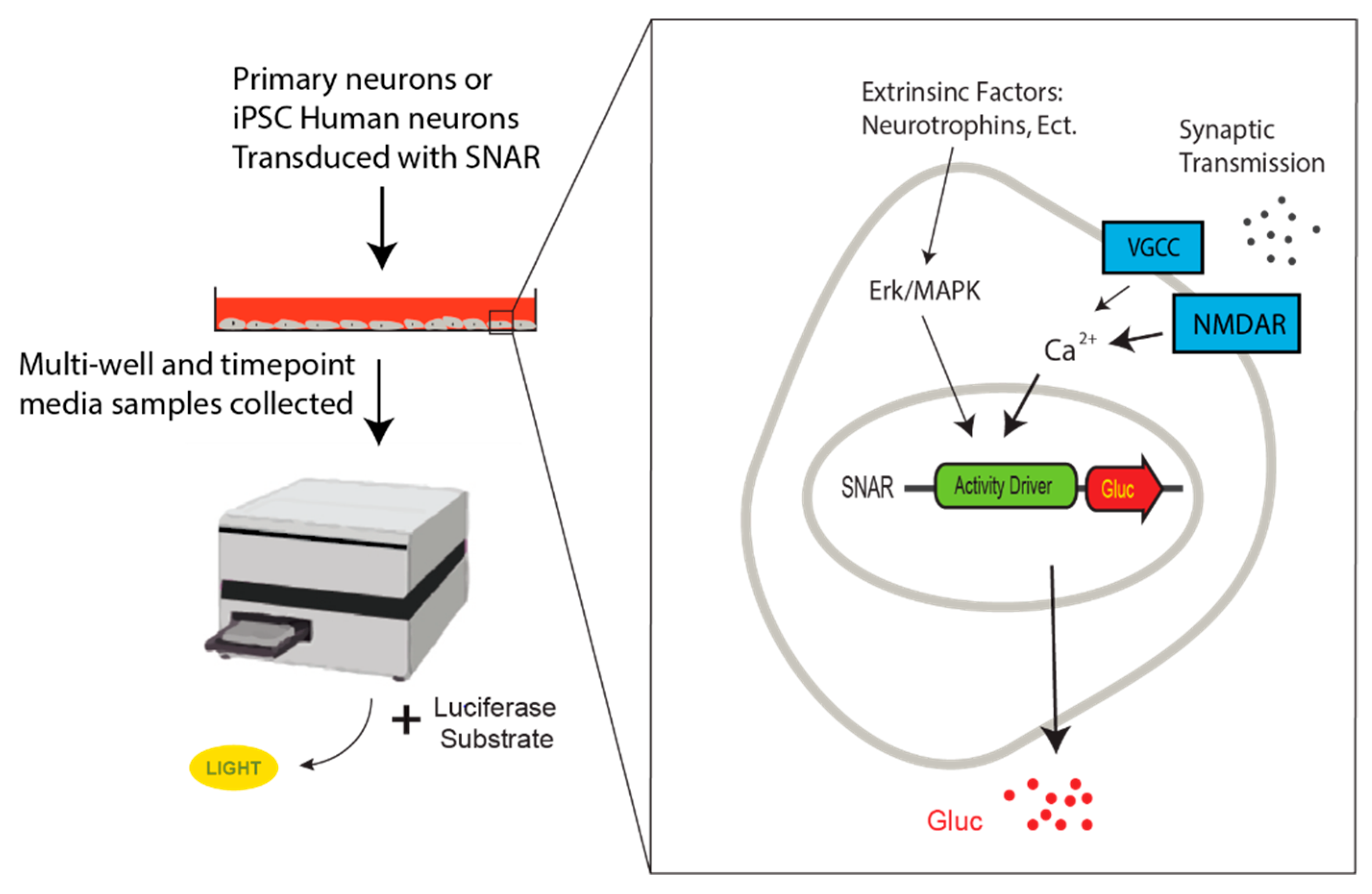 Micromachines 13 01500 g002