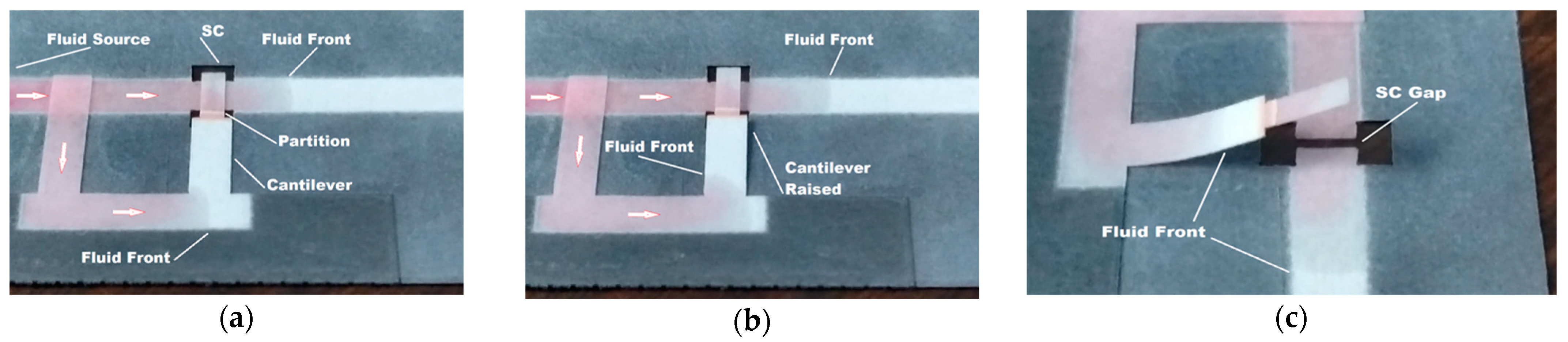 Micromachines 13 01502 g013