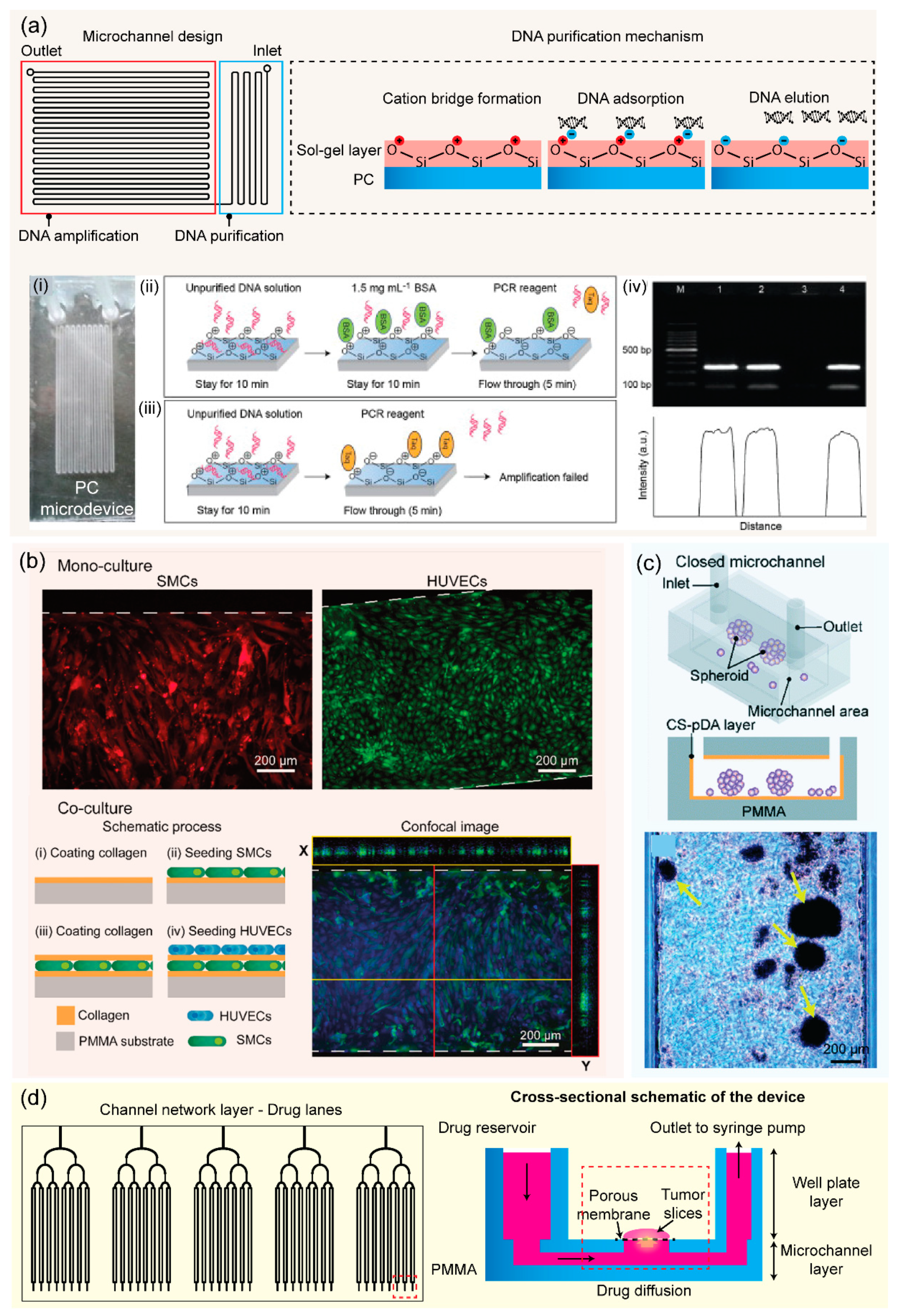 Micromachines 13 01503 g006