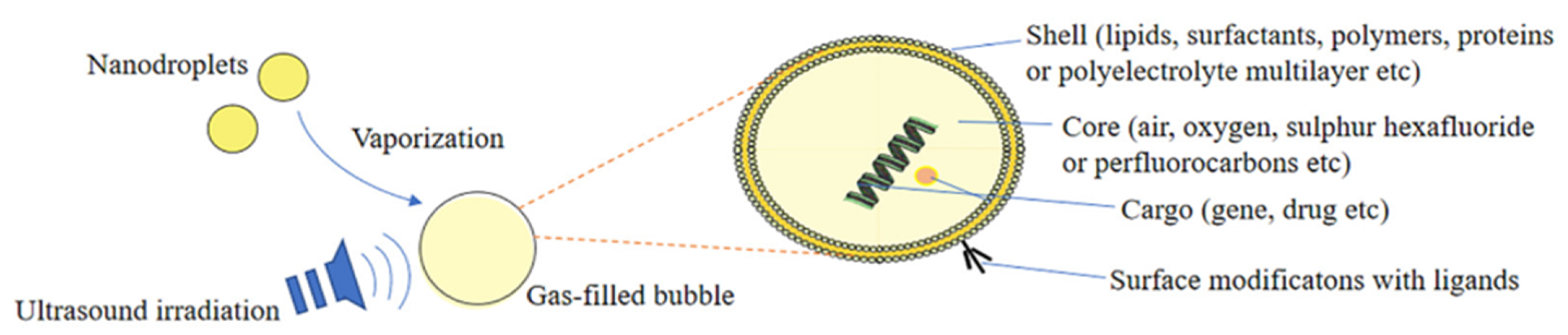 Micromachines 13 01508 g005