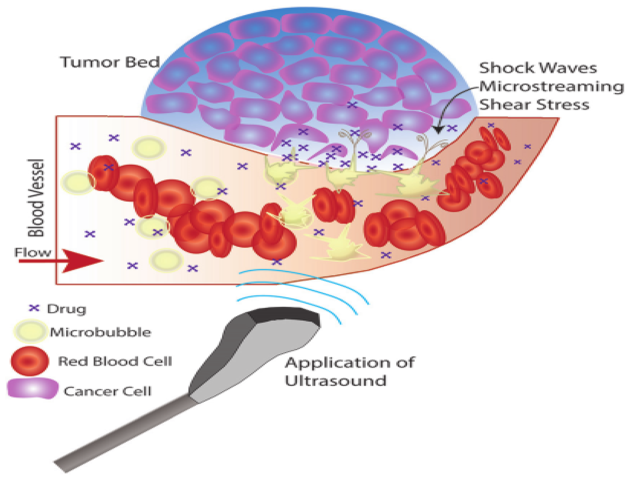 Micromachines 13 01508 g006