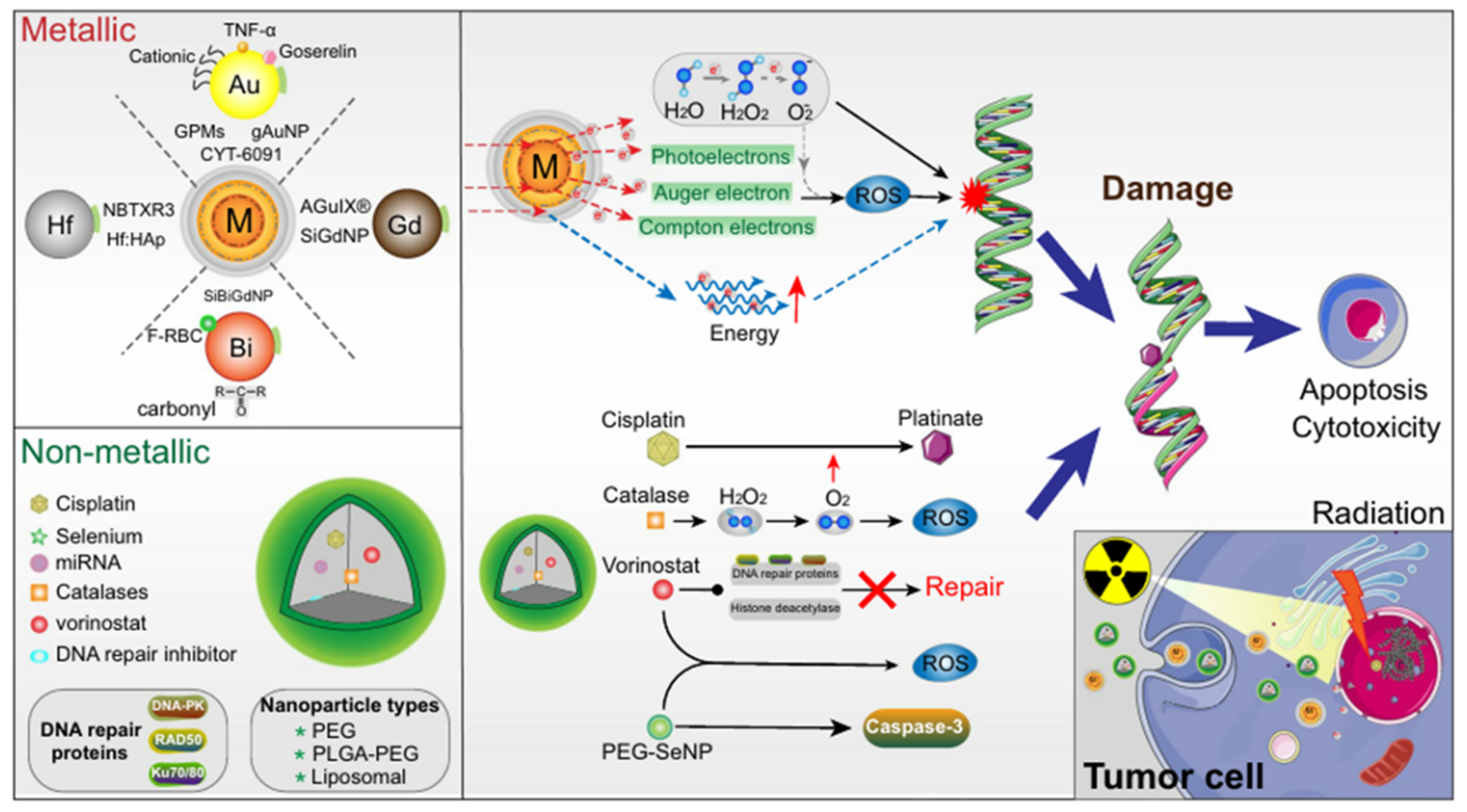 Micromachines 13 01508 g008