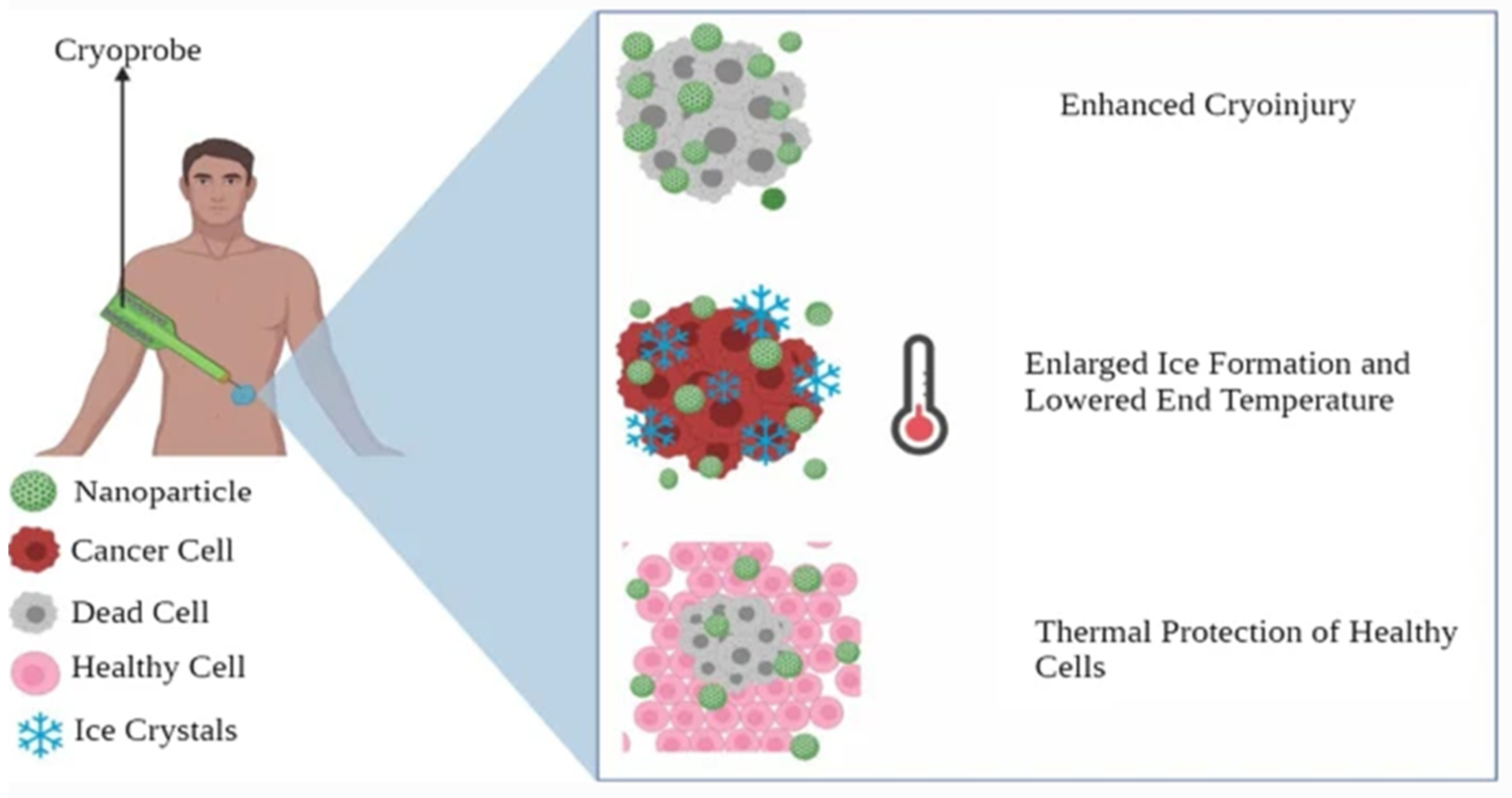 Micromachines 13 01508 g009