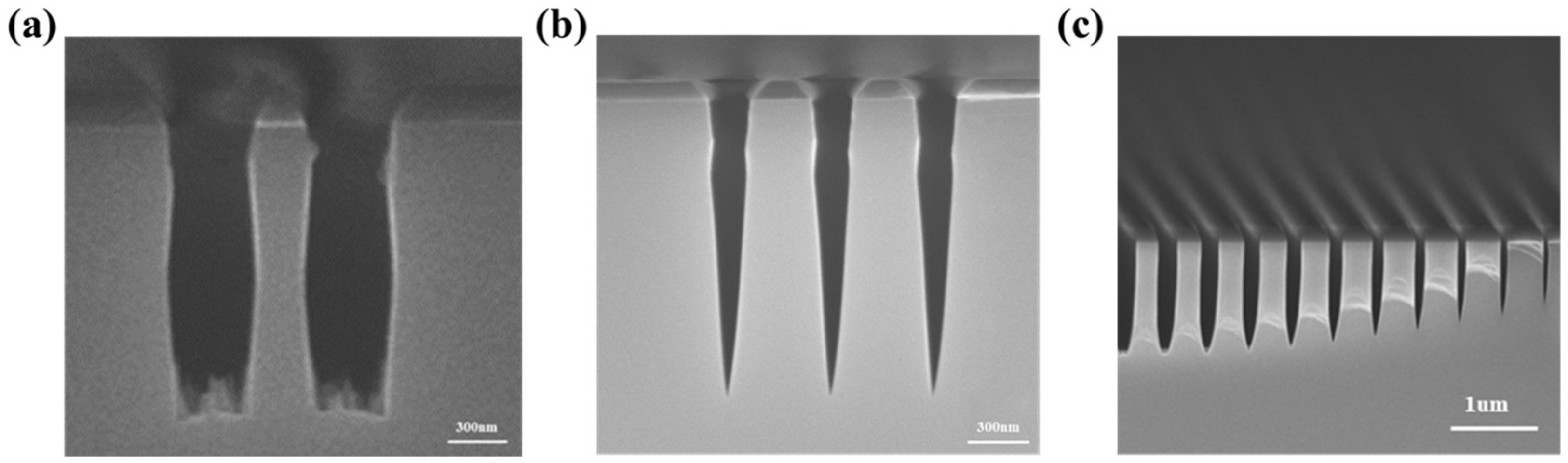 Micromachines 13 01531 g002