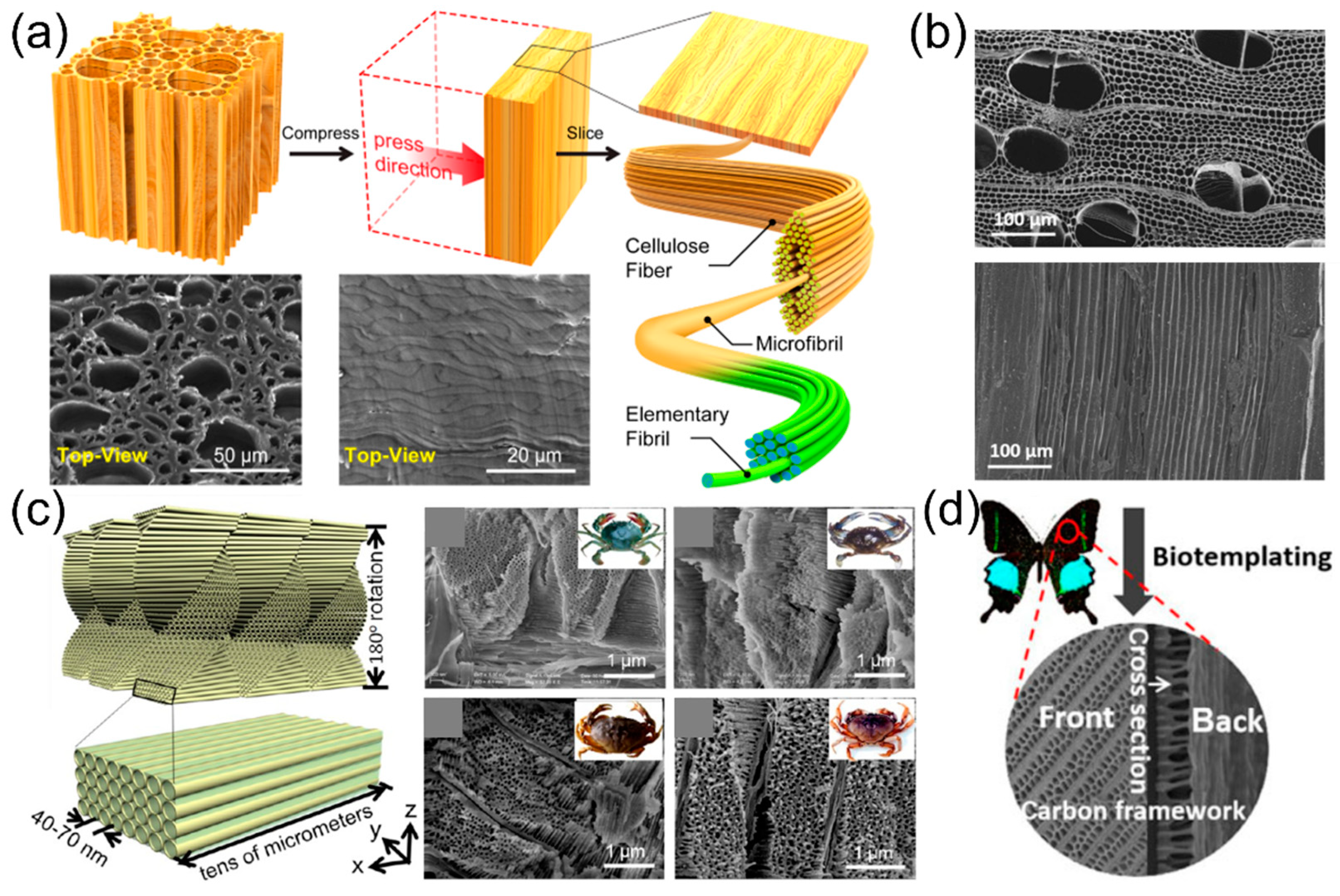 Micromachines 13 01534 g003 Micromachines 13 01534 g003