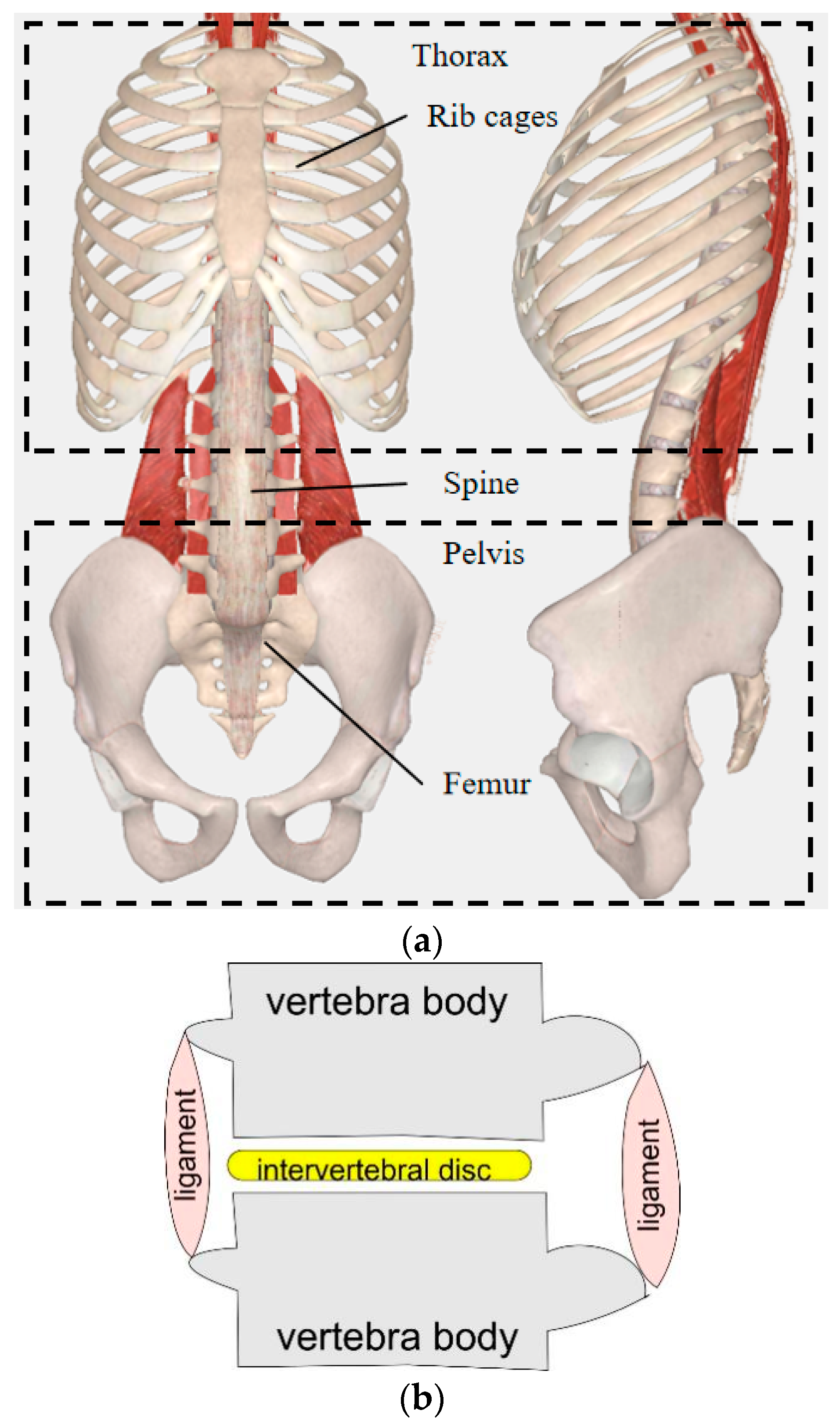 Micromachines 13 01548 g001