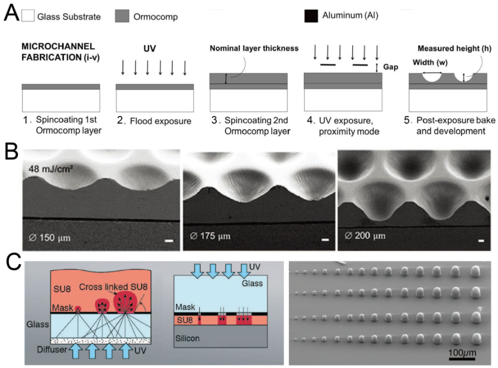 Micromachines 13 01555 g002