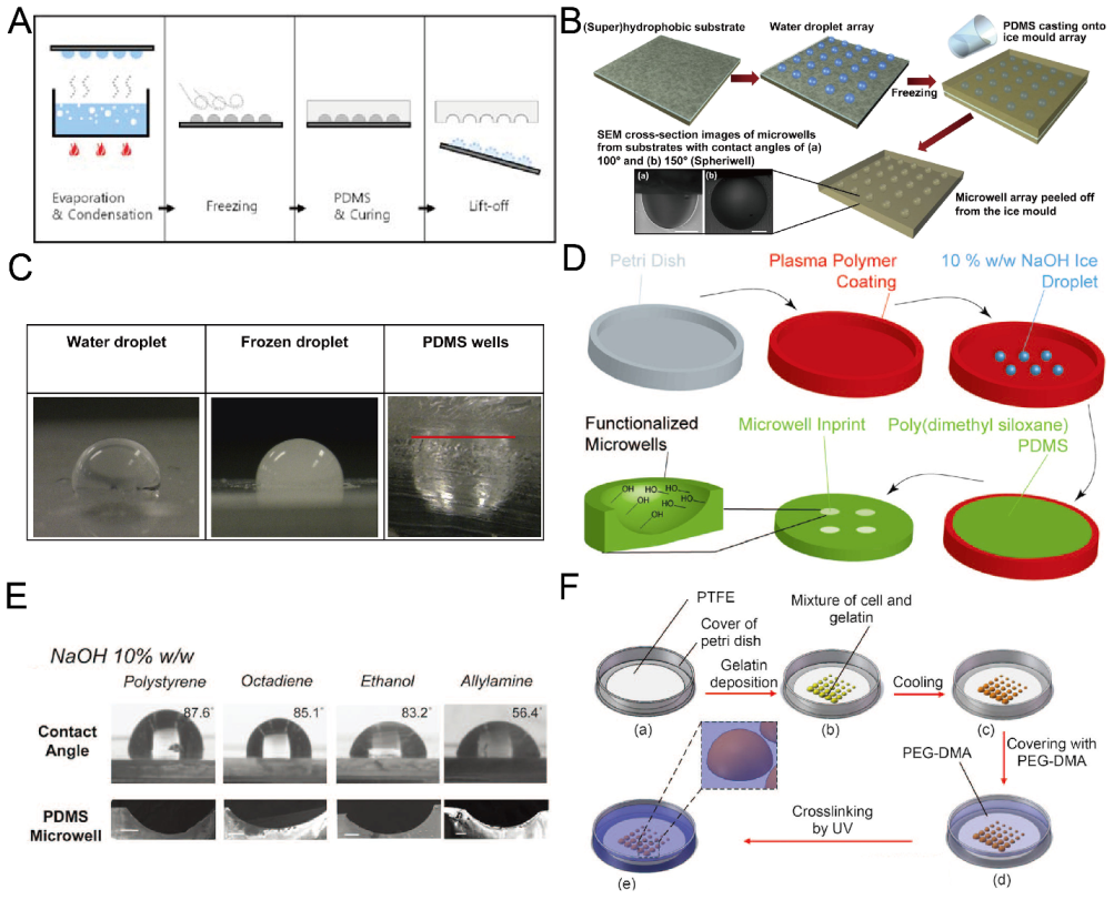 Micromachines 13 01555 g005