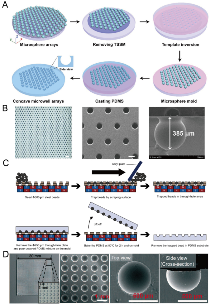 Micromachines 13 01555 g007