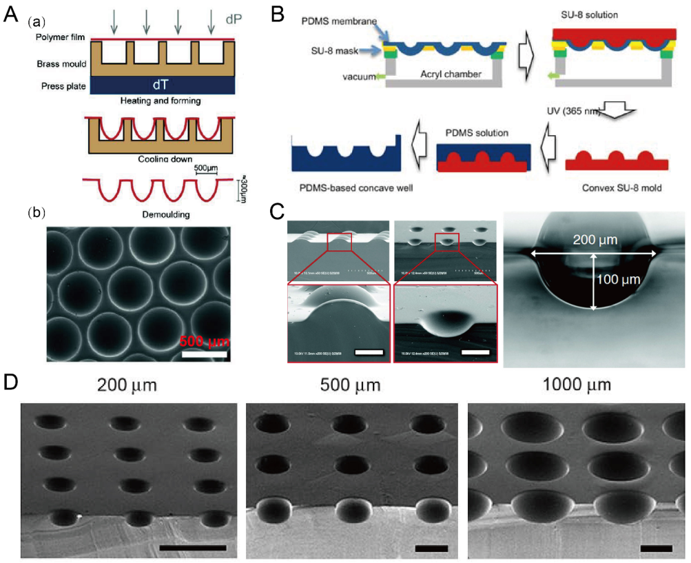 Micromachines 13 01555 g008