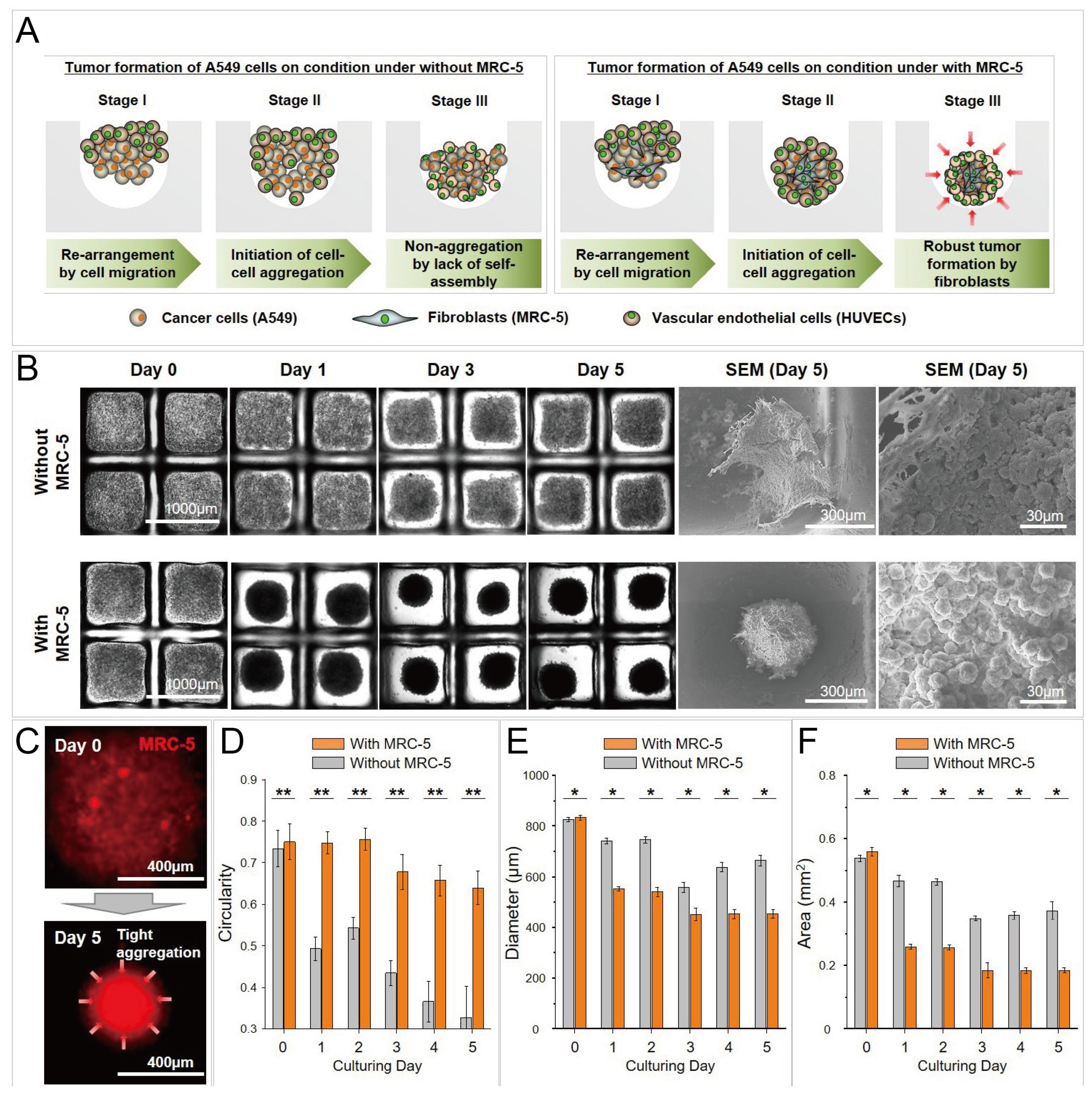 Micromachines 13 01555 g014