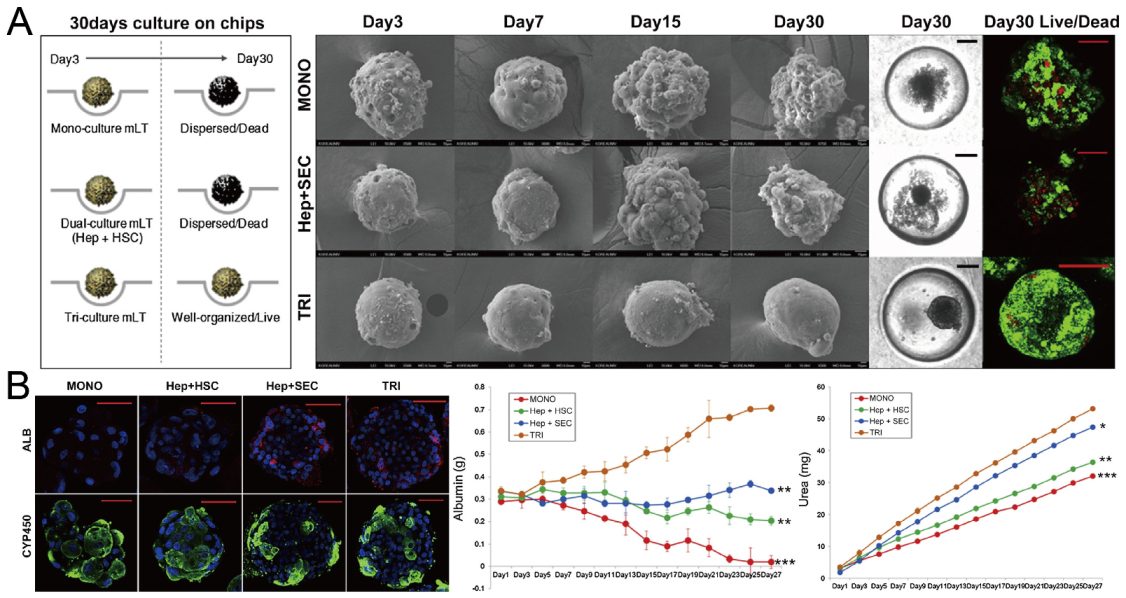 Micromachines 13 01555 g016