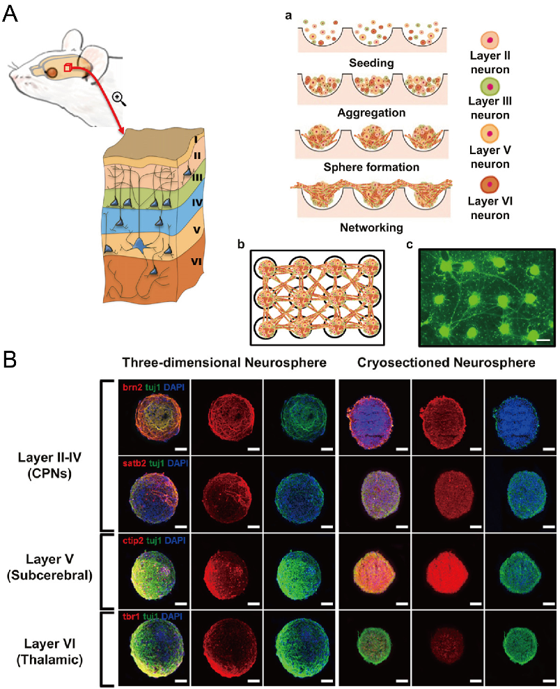 Micromachines 13 01555 g017