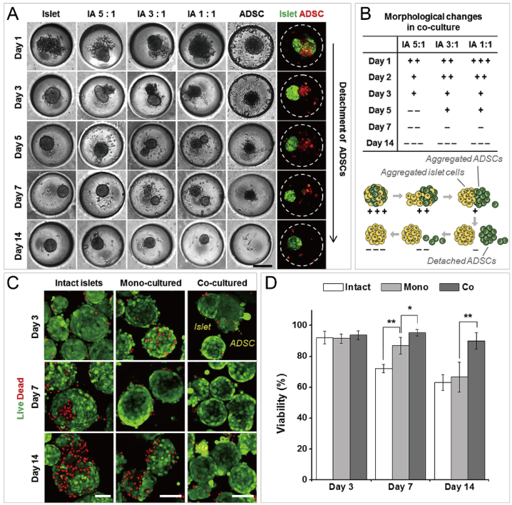 Micromachines 13 01555 g018