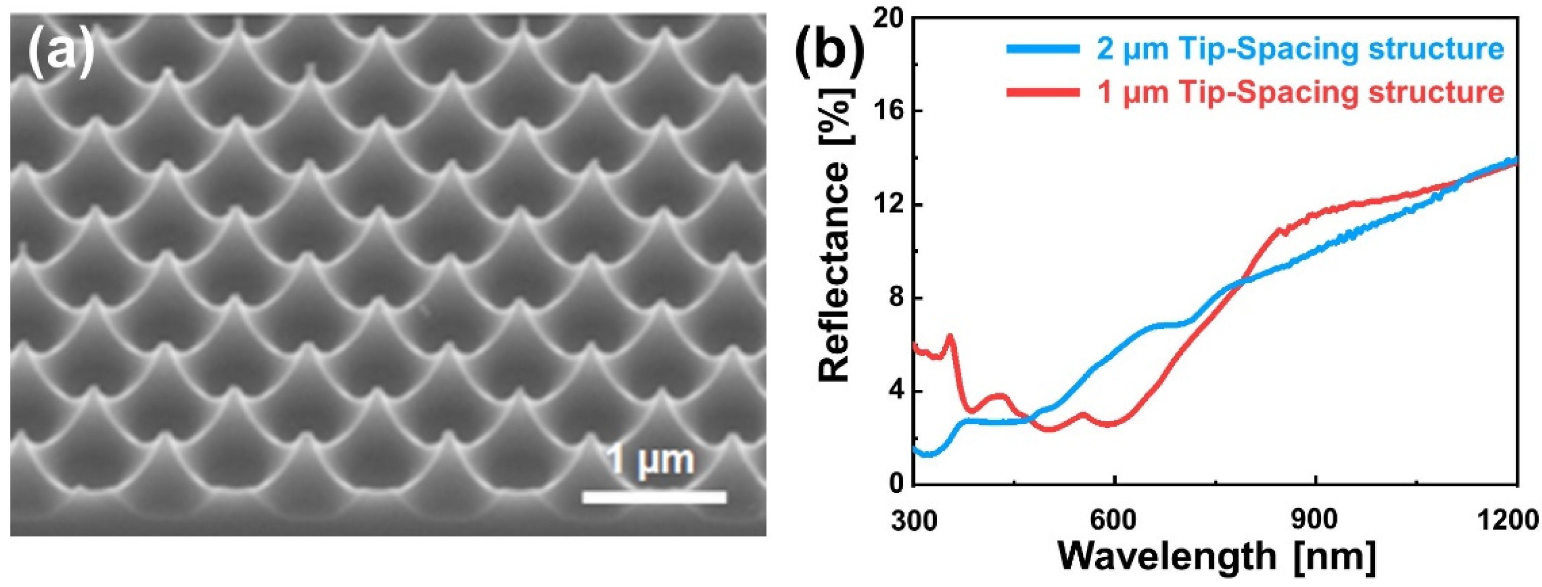 Micromachines 13 01556 g006