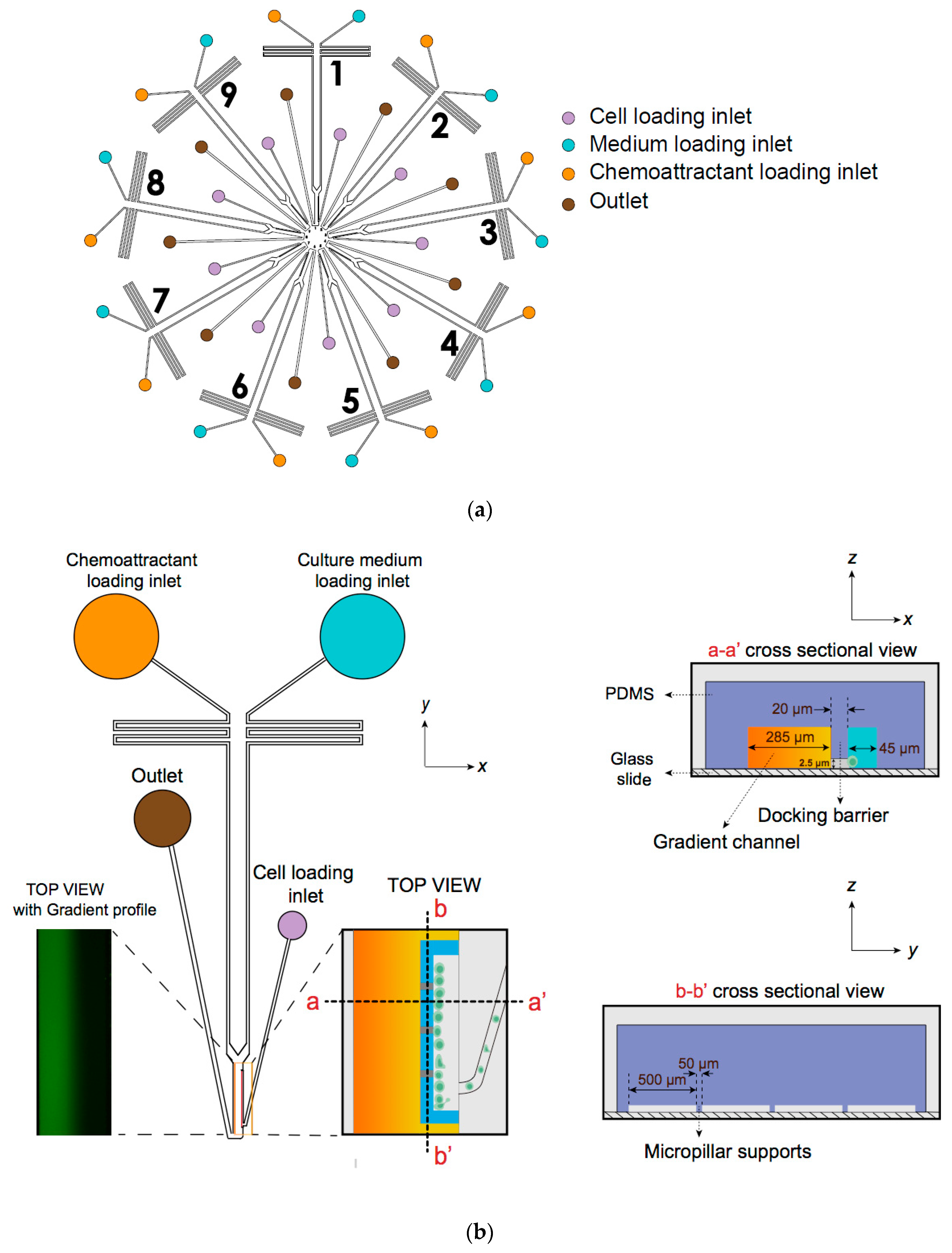 Micromachines 13 01567 g001