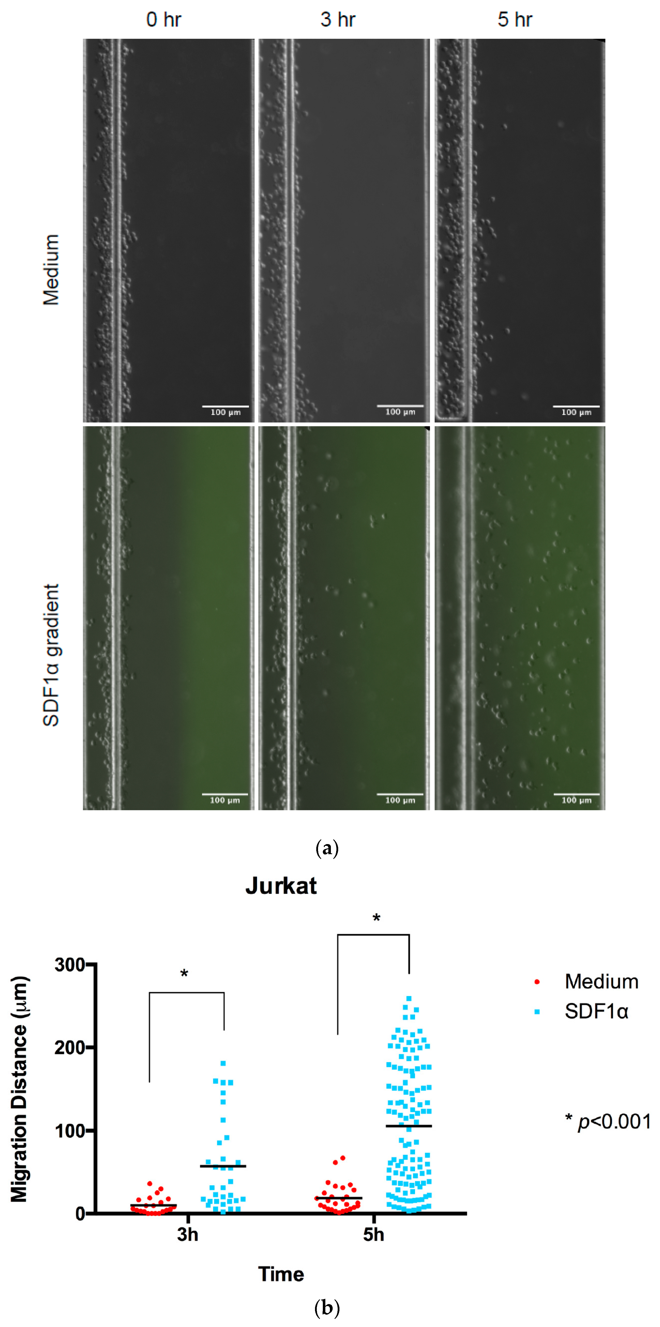 Micromachines 13 01567 g002