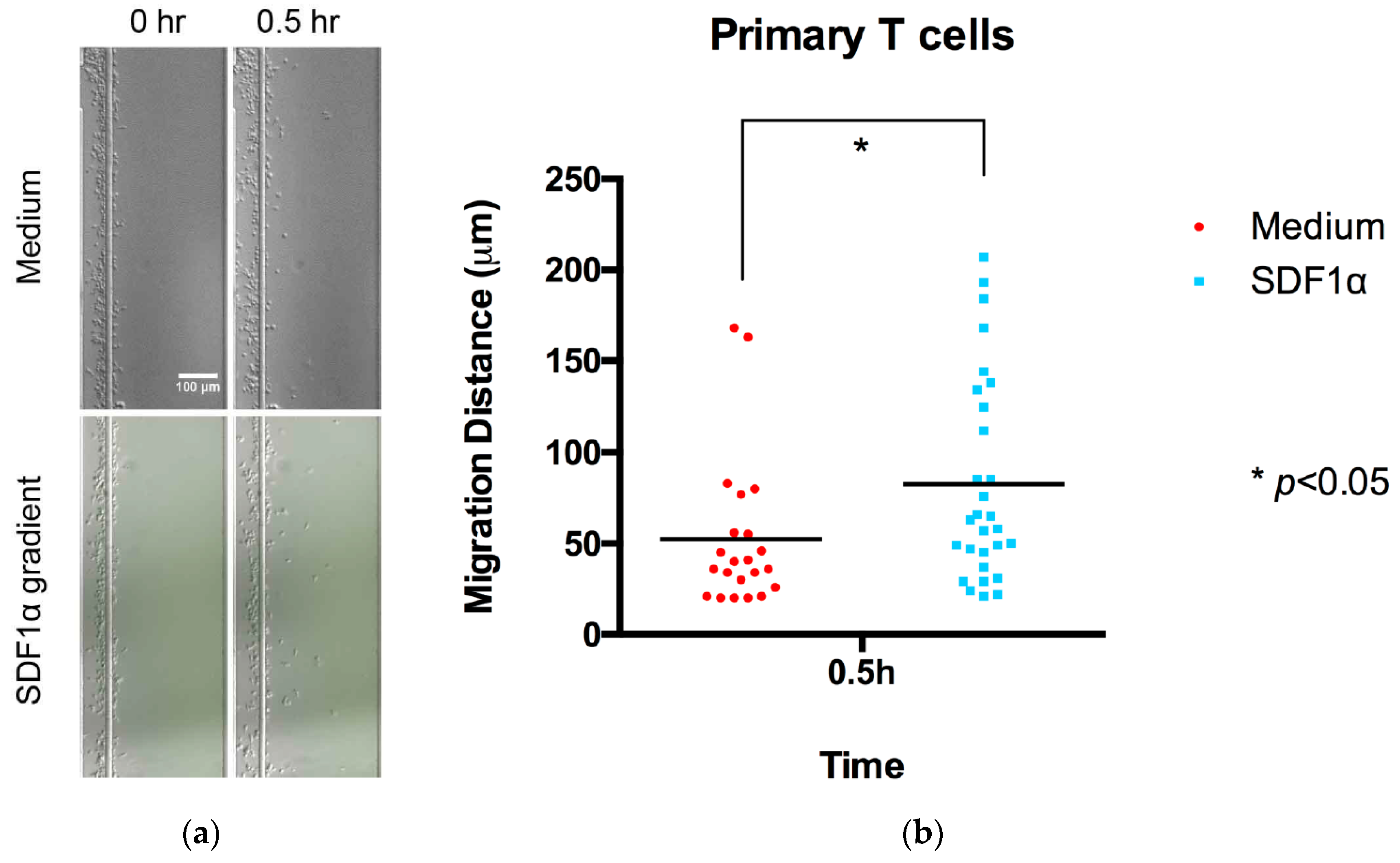 Micromachines 13 01567 g003