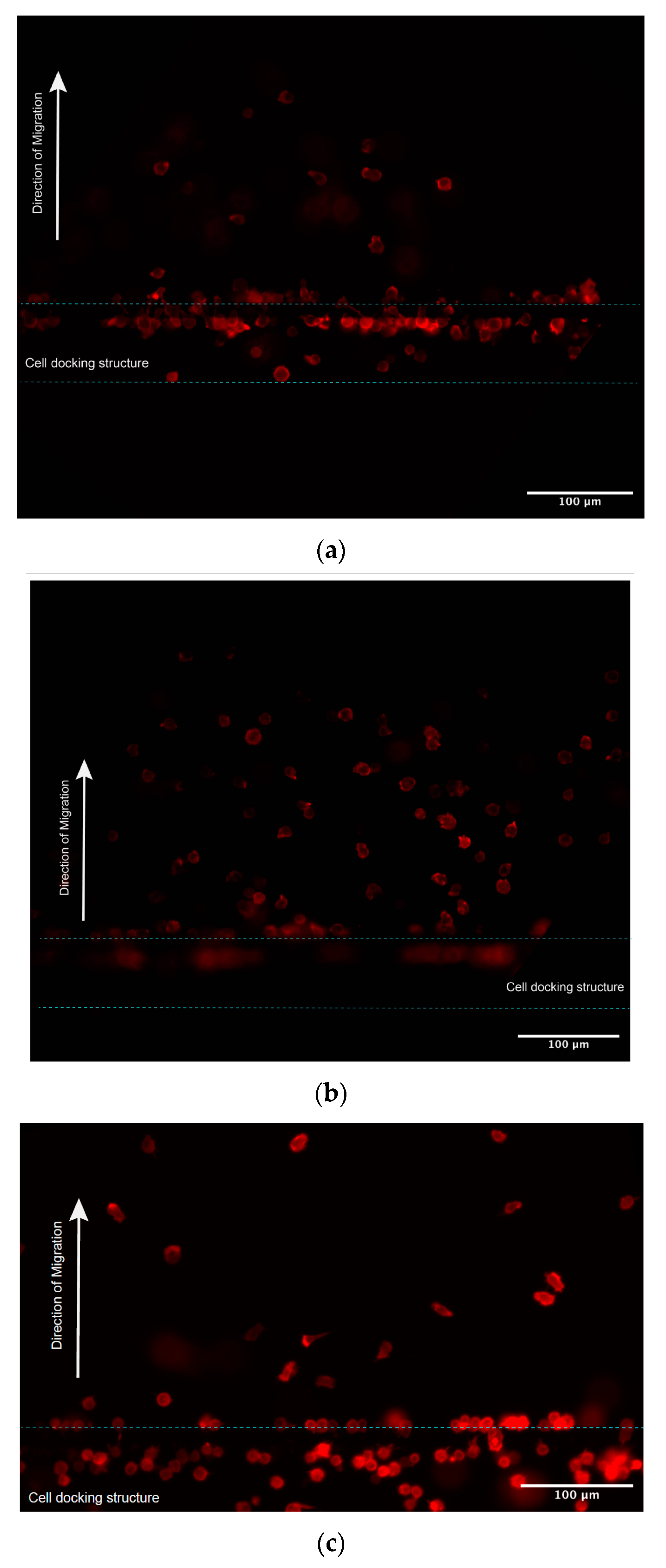 Micromachines 13 01567 g004