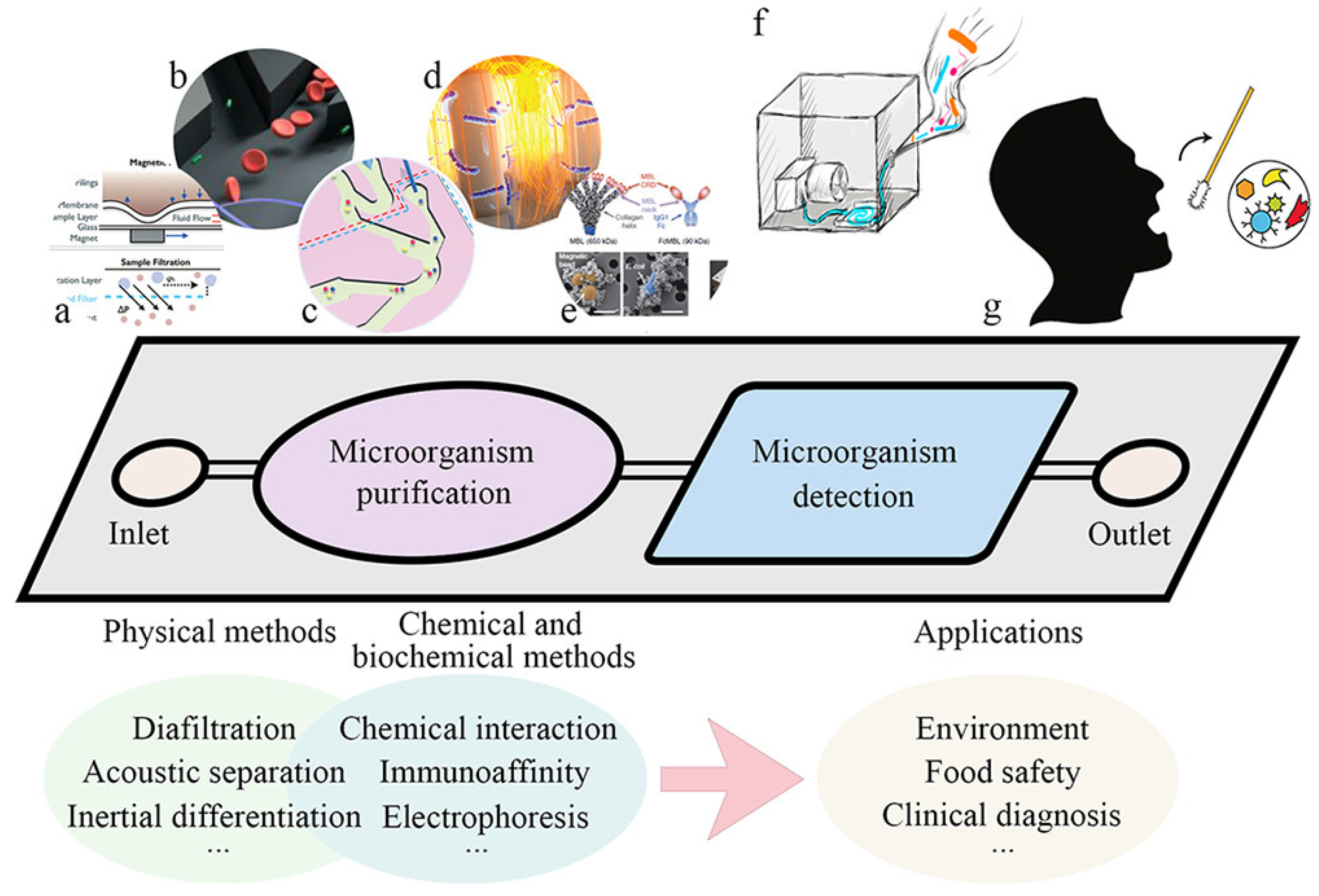 Micromachines 13 01576 g001