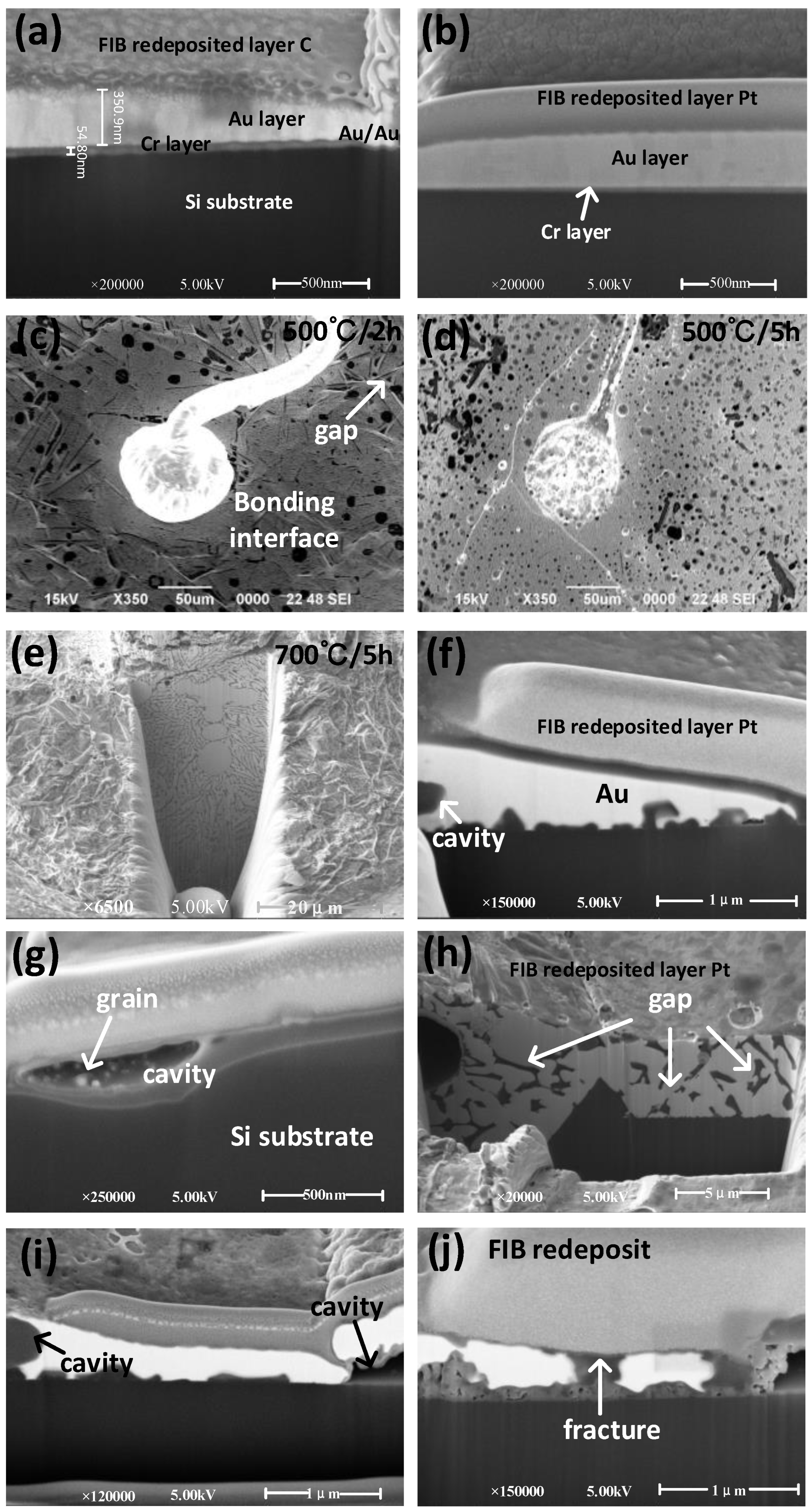 Micromachines 13 01603 g005