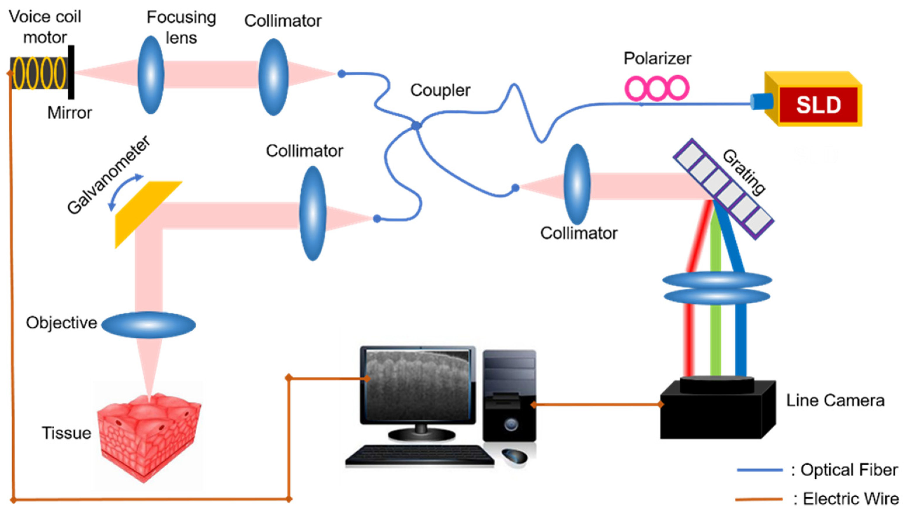 Micromachines 13 01626 g001