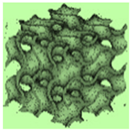 Micromachines 13 01632 i003