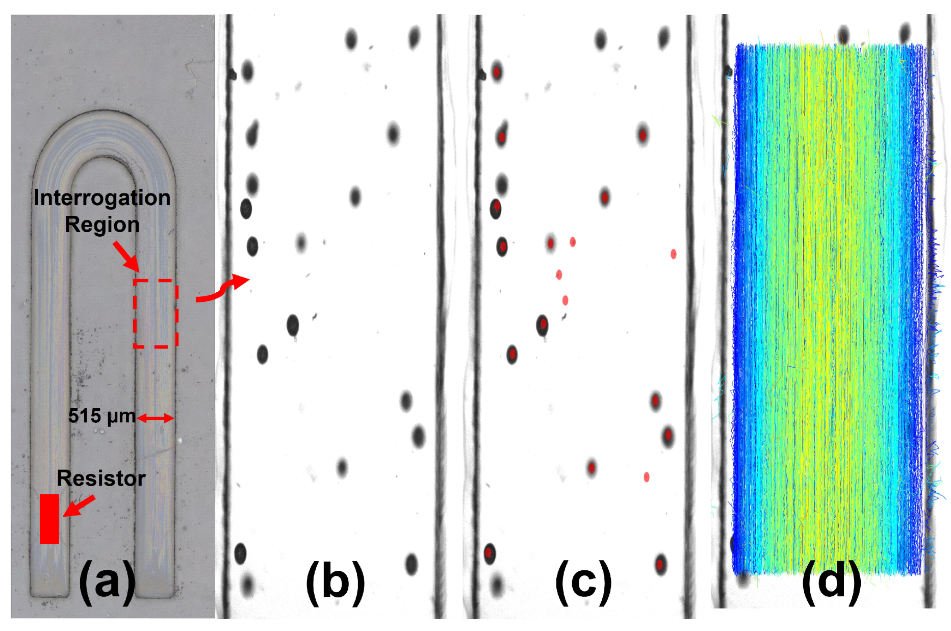 Micromachines 13 01634 g006