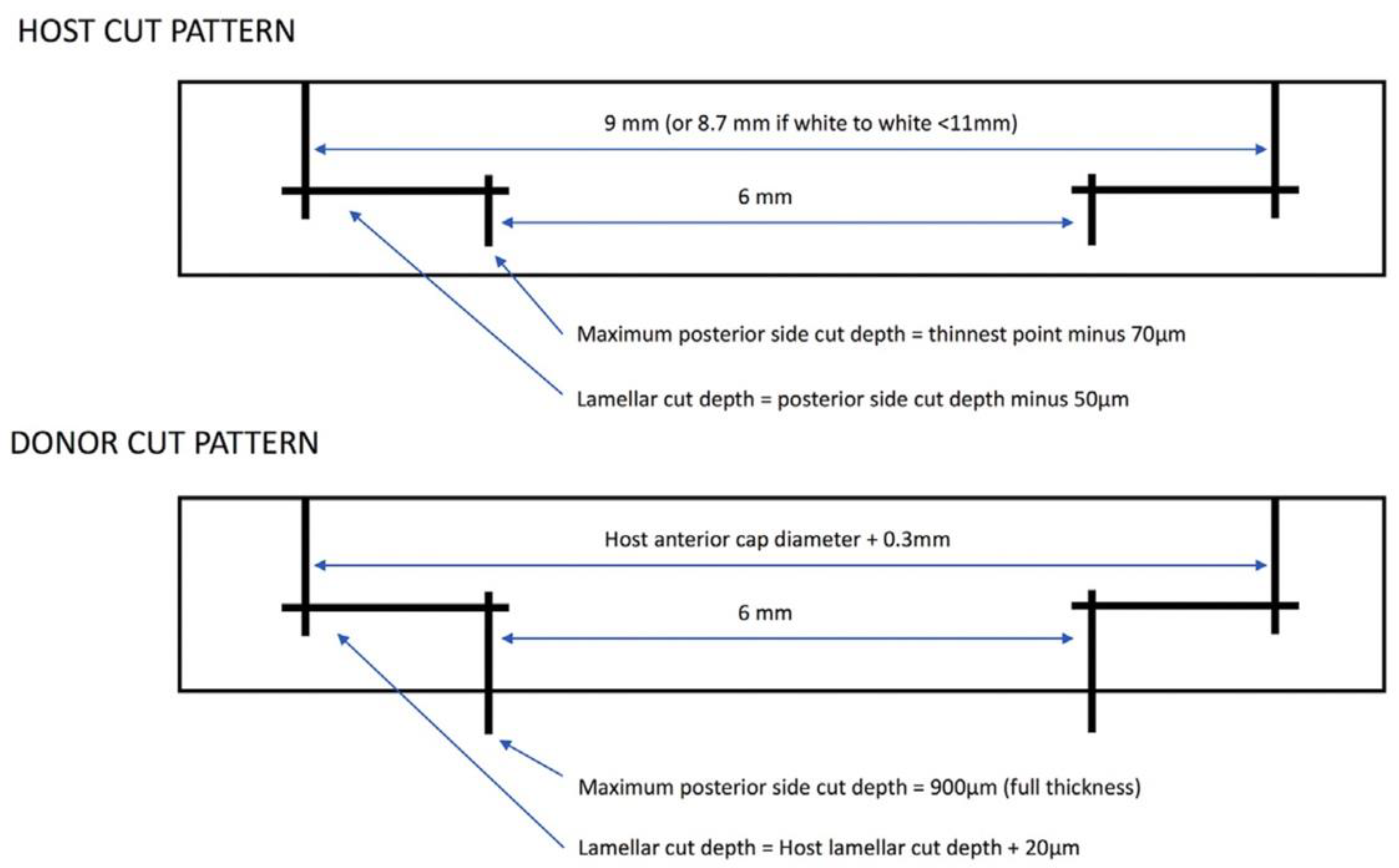 Micromachines 13 01653 g007