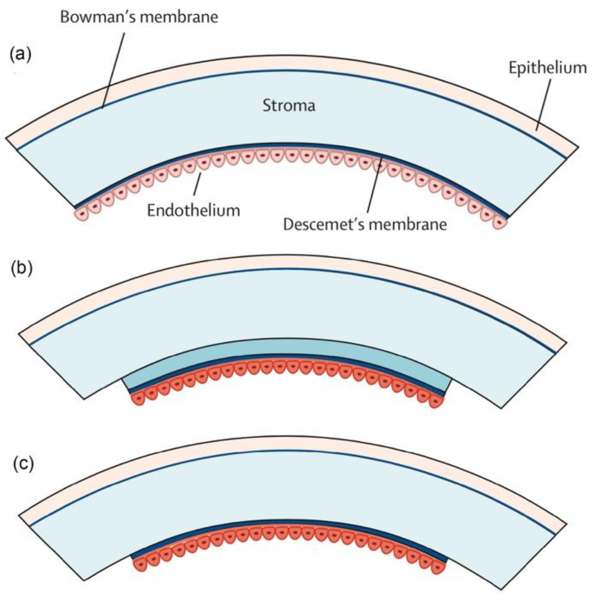 Micromachines 13 01653 g008