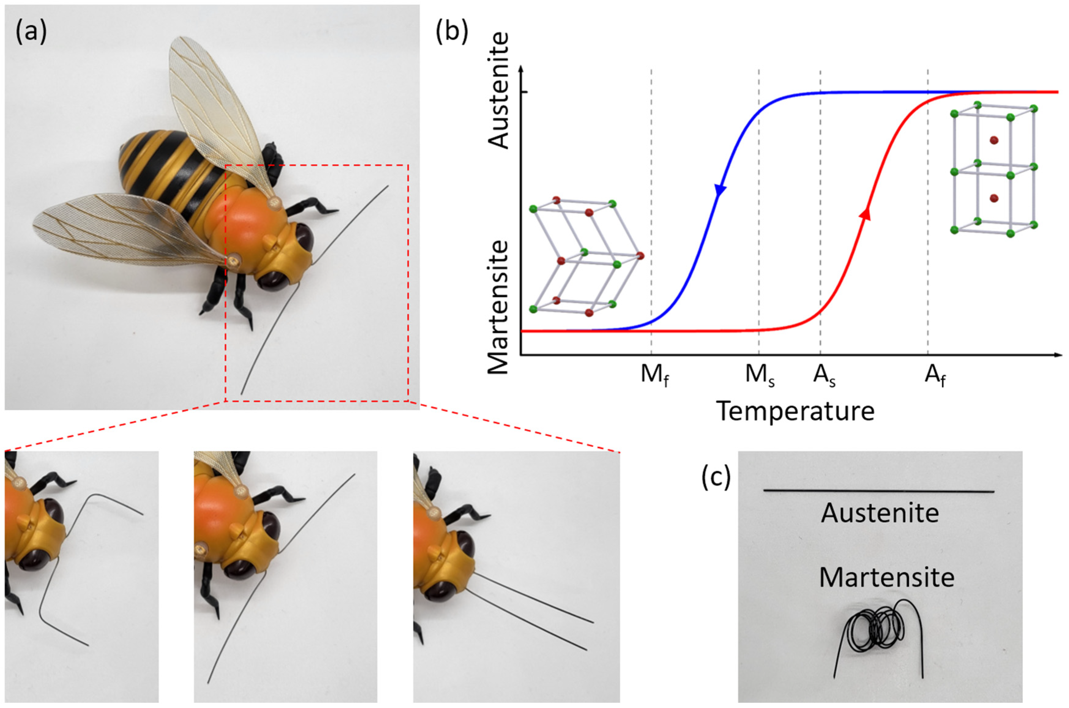 Micromachines 13 01673 g001