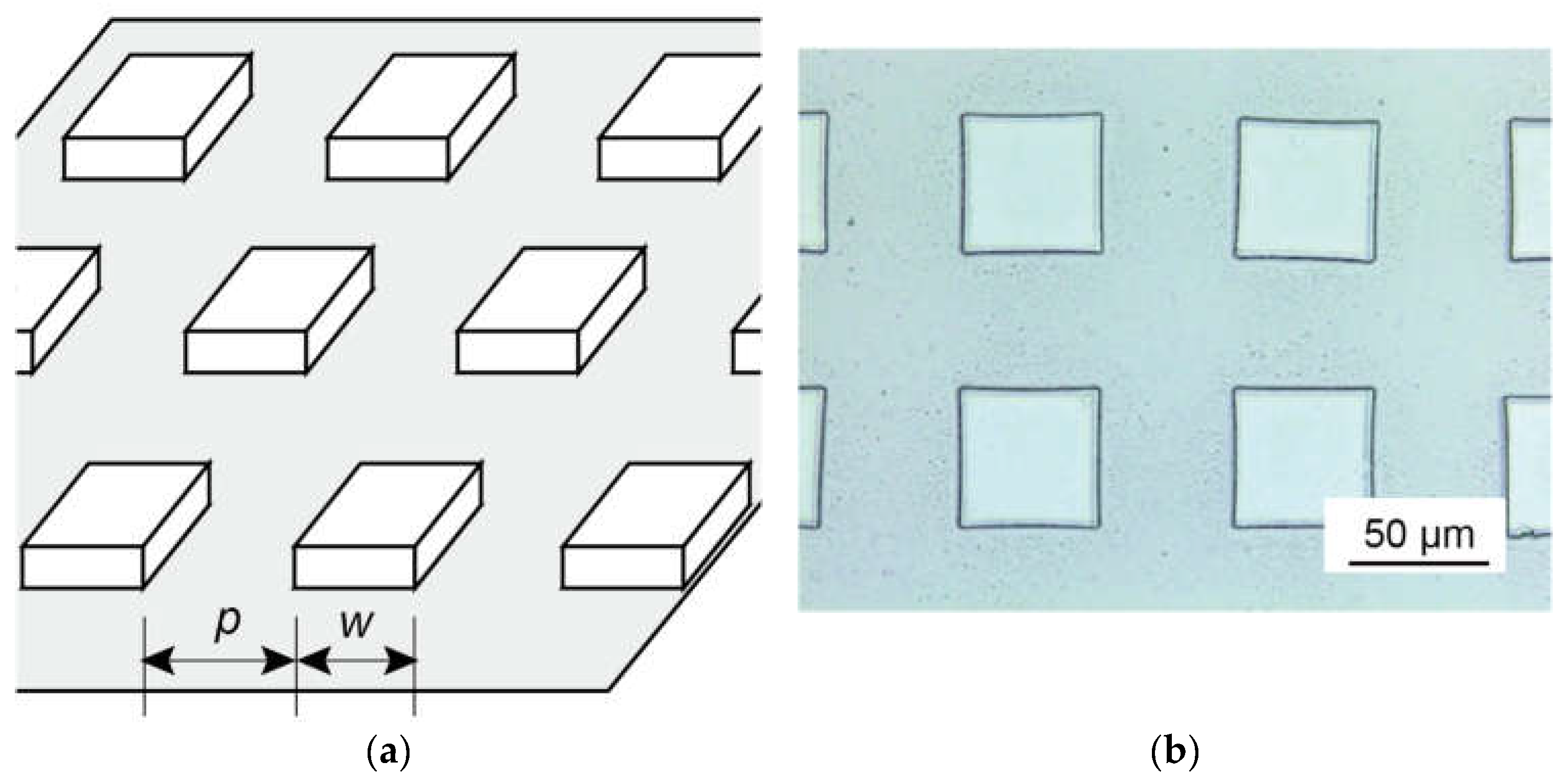 Micromachines 13 01685 g003