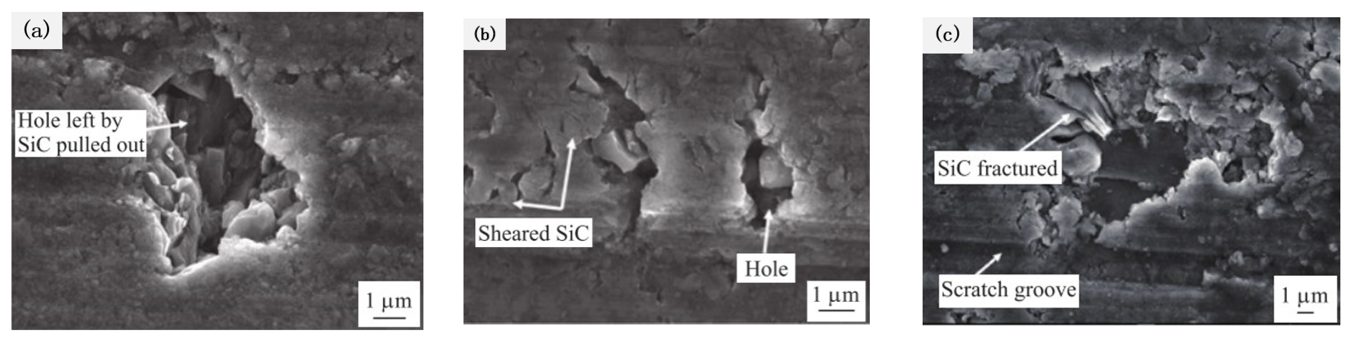 Micromachines 13 01687 g008