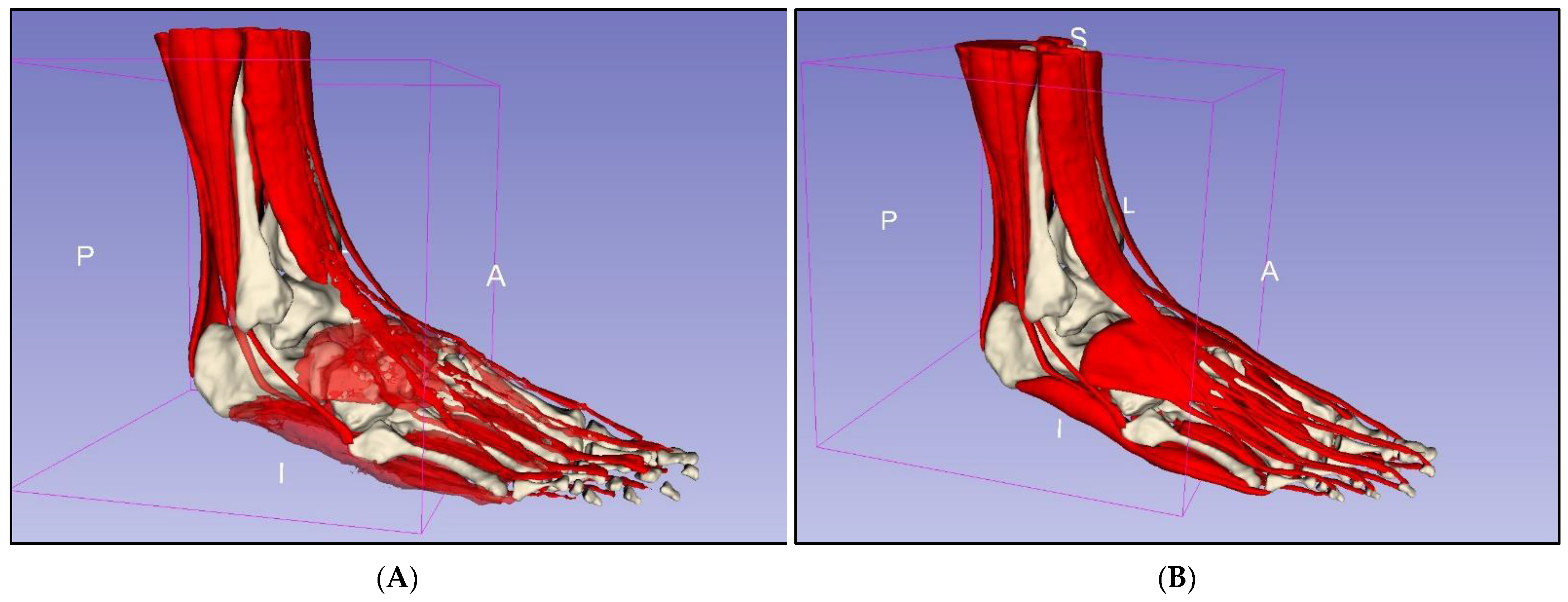 Micromachines 13 01701 g005