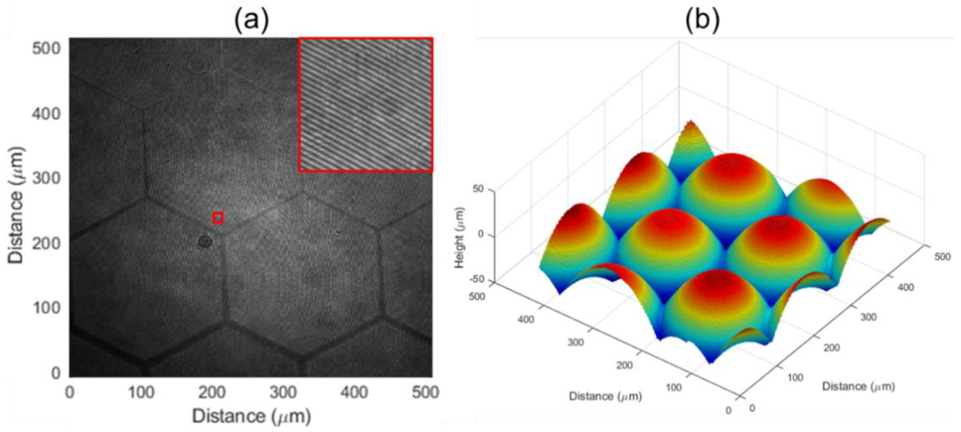 Micromachines 13 01719 g006