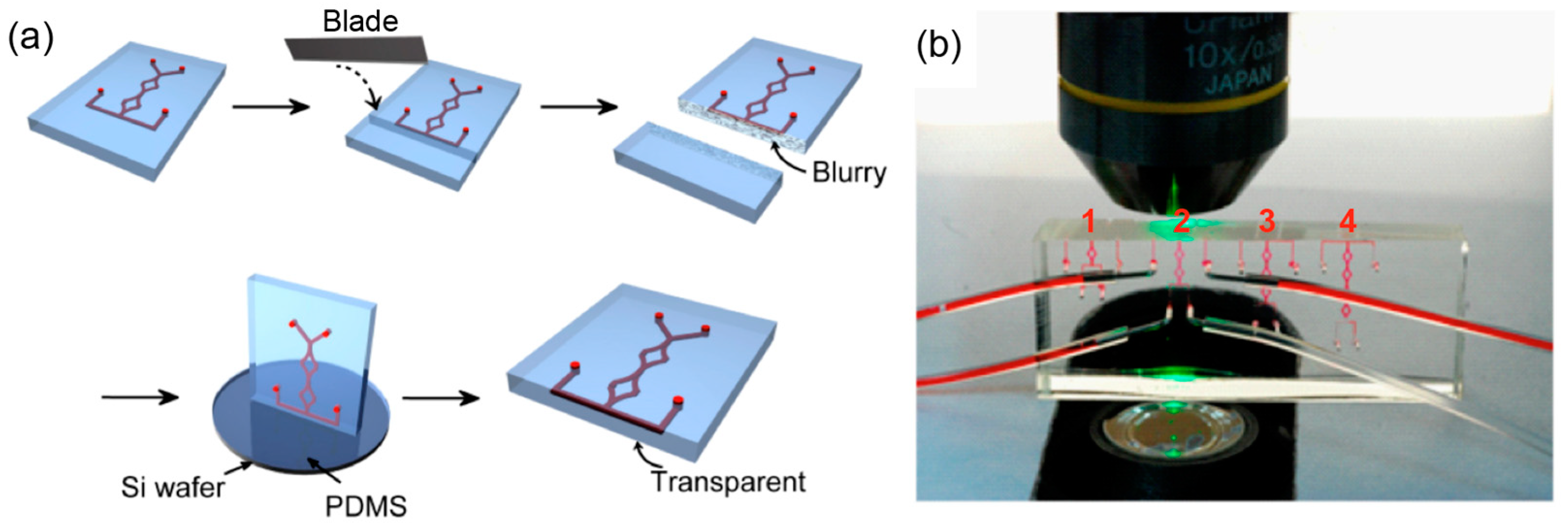 Micromachines 13 01720 g002
