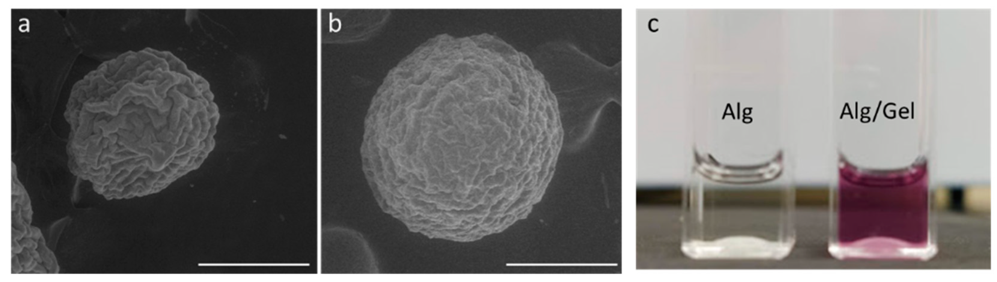 Micromachines 13 01726 g003