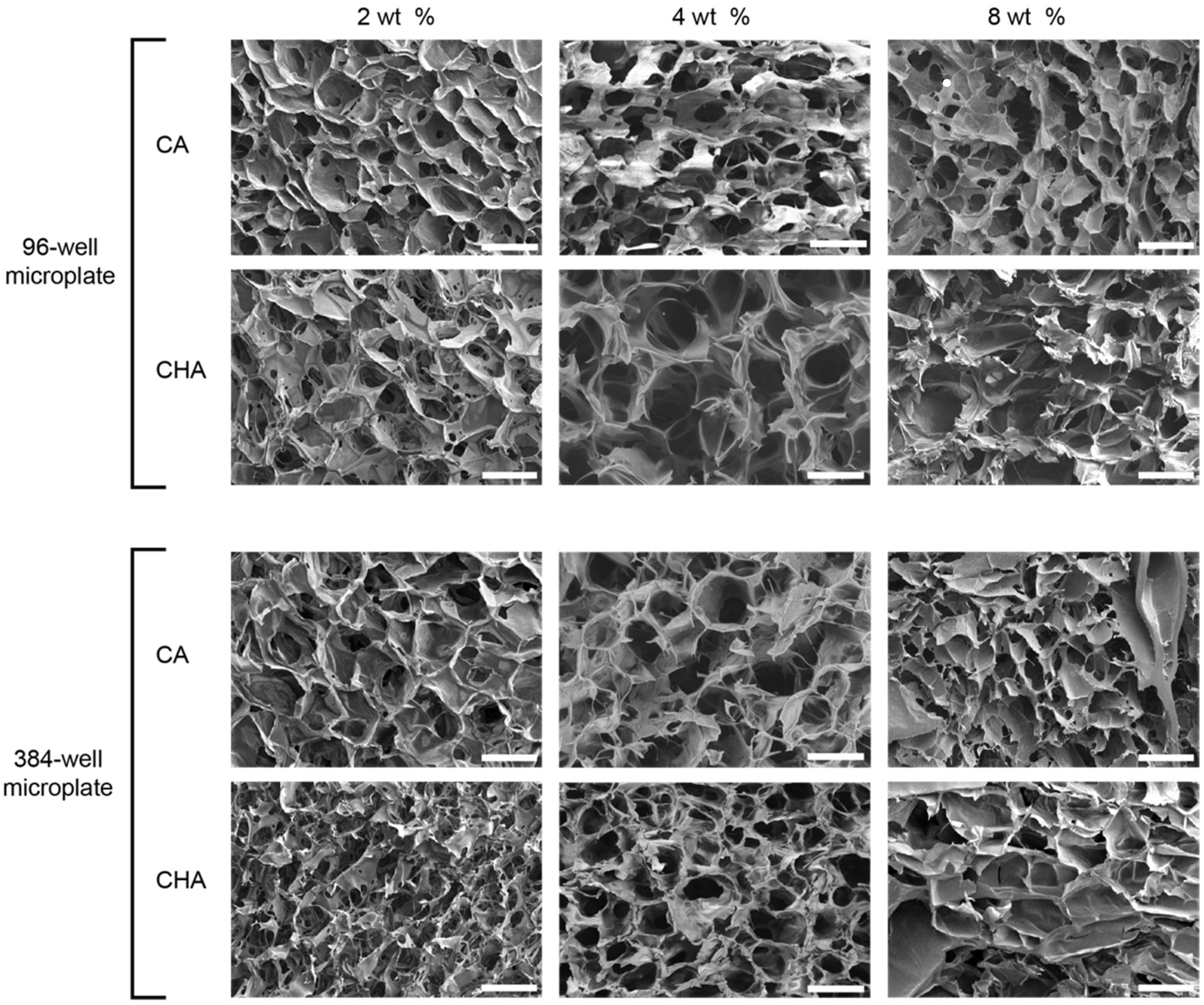 Micromachines 13 01730 g006