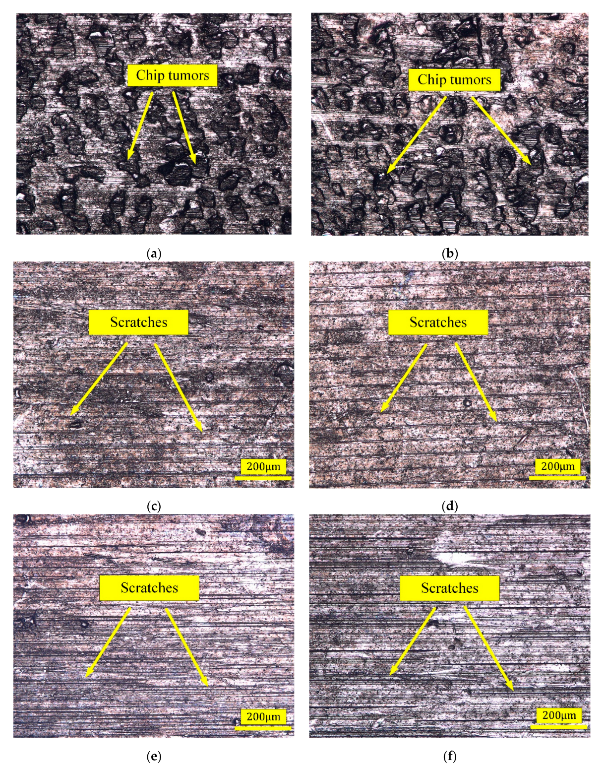 Micromachines 13 01745 g006