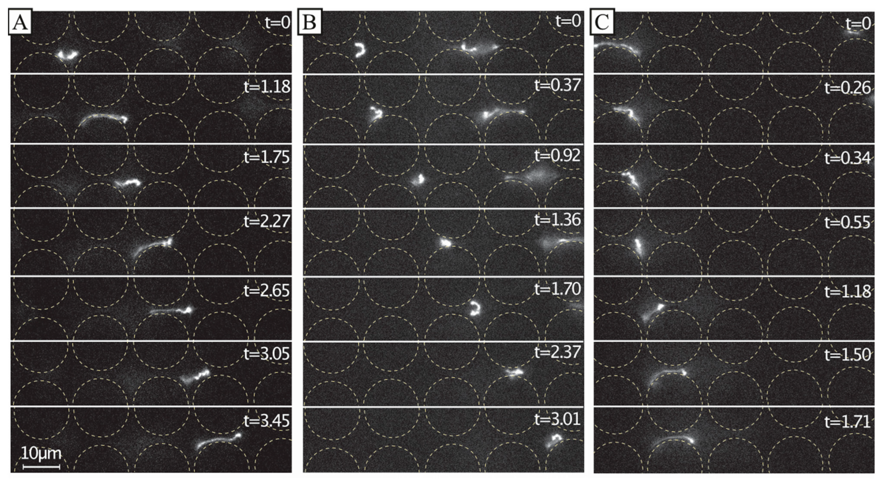 Micromachines 13 01754 g006 Micromachines 13 01754 g006