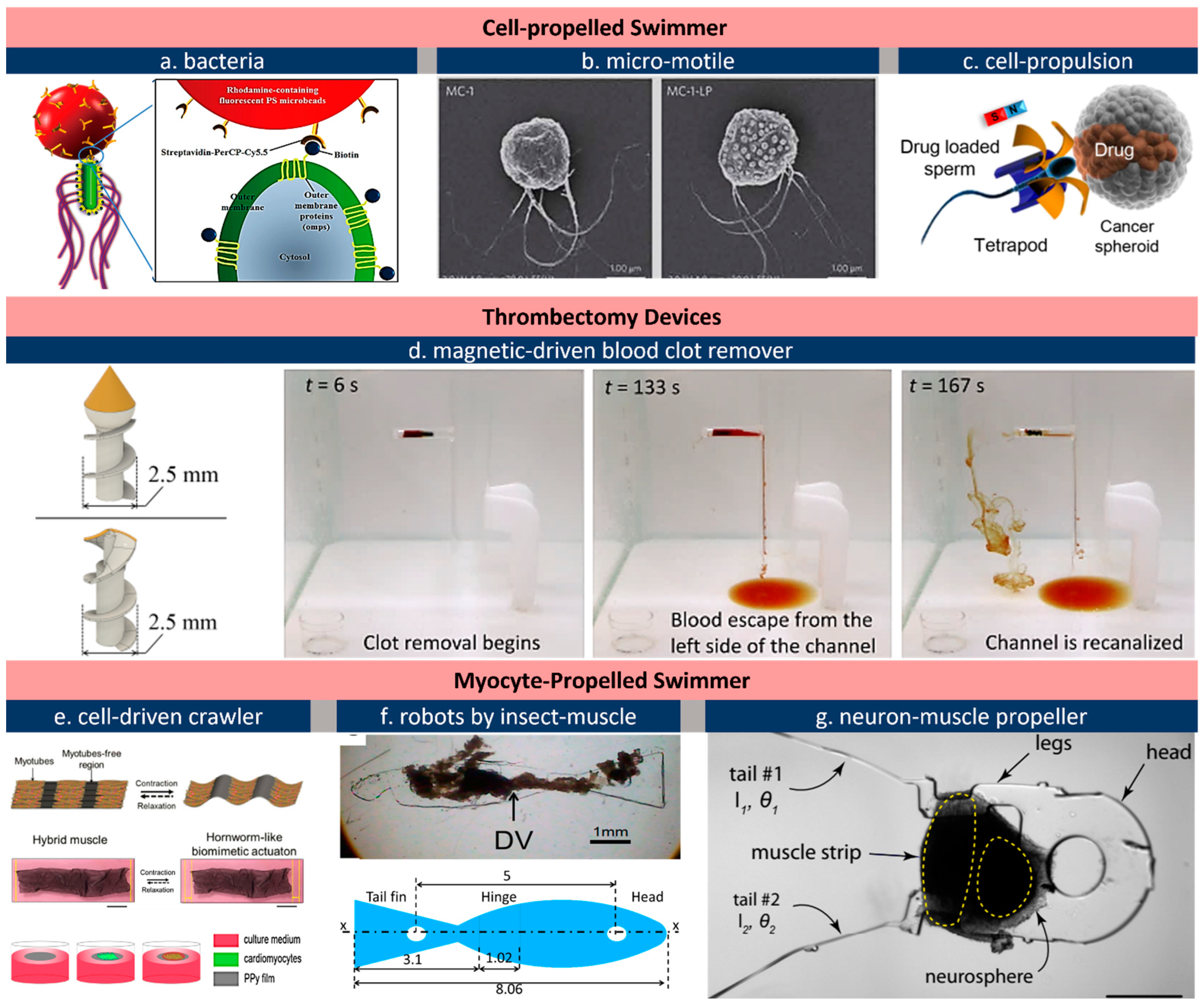 Micromachines 13 01756 g005