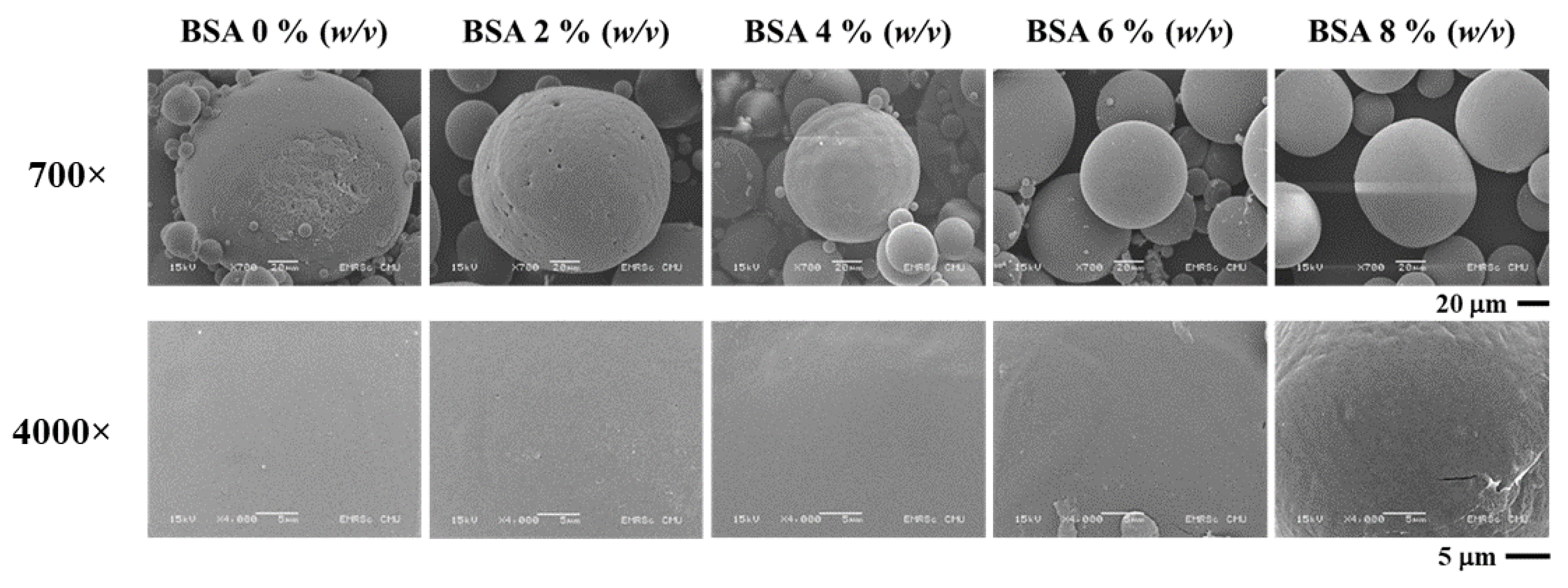 Micromachines 13 01761 g002 Micromachines 13 01761 g002