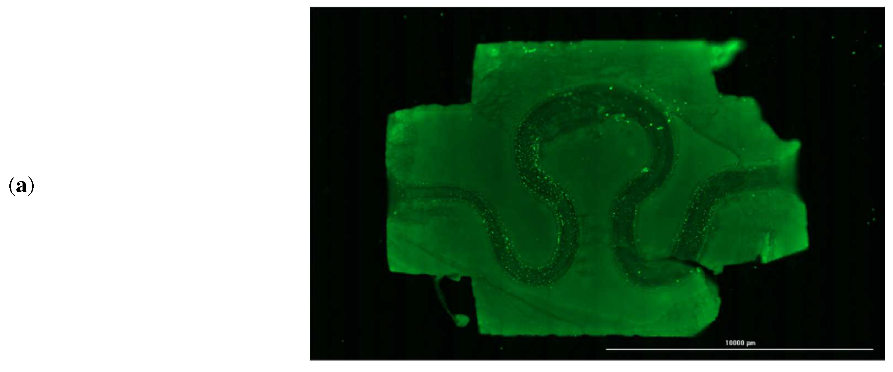 Micromachines 13 01766 g010a